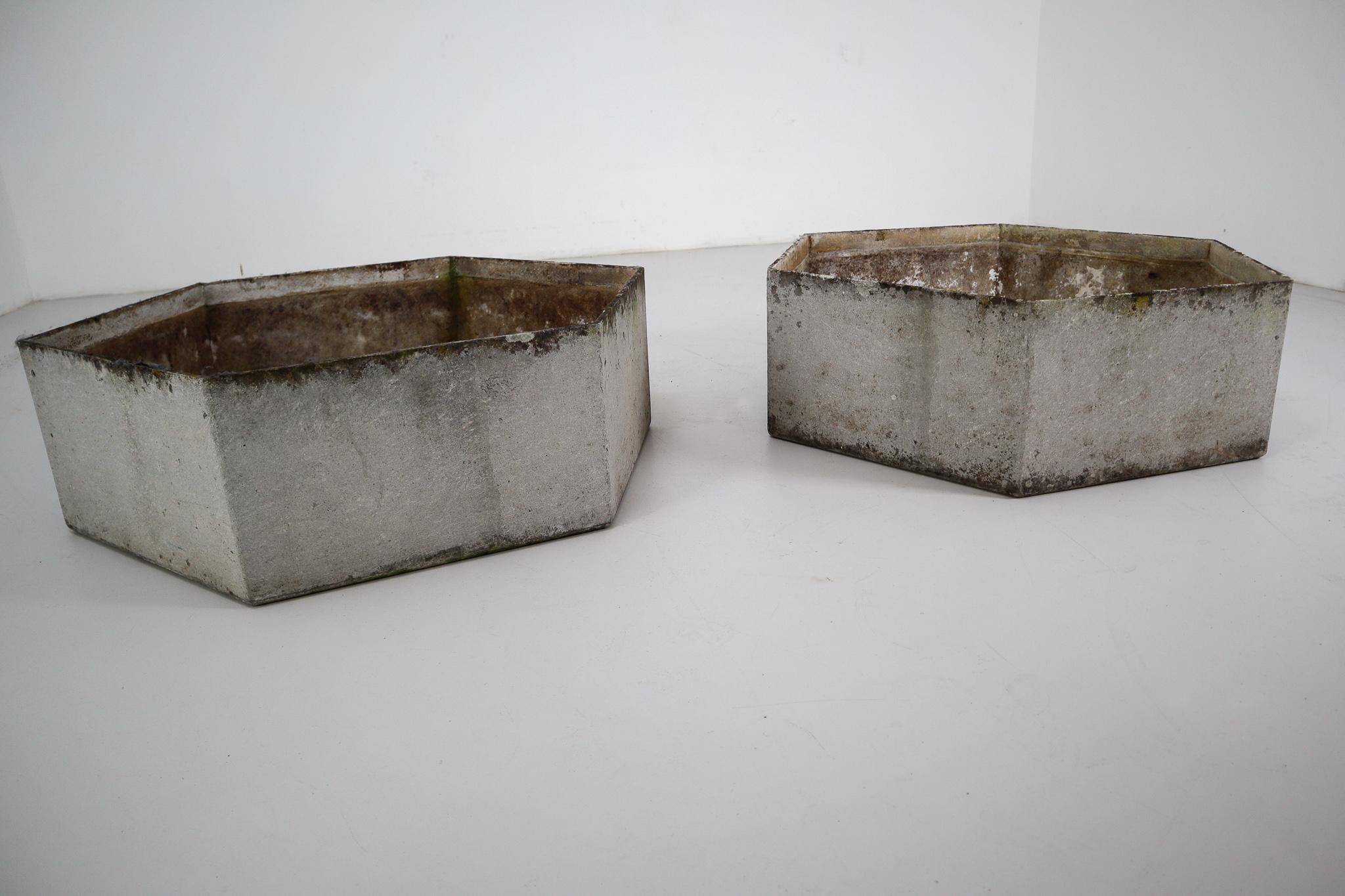 20th Century Two Large Hexagon Shaped Planters by Swiss Architect Willy Guhl