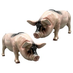 Two large pigs in ceramic, Normandy, France, circa 1930