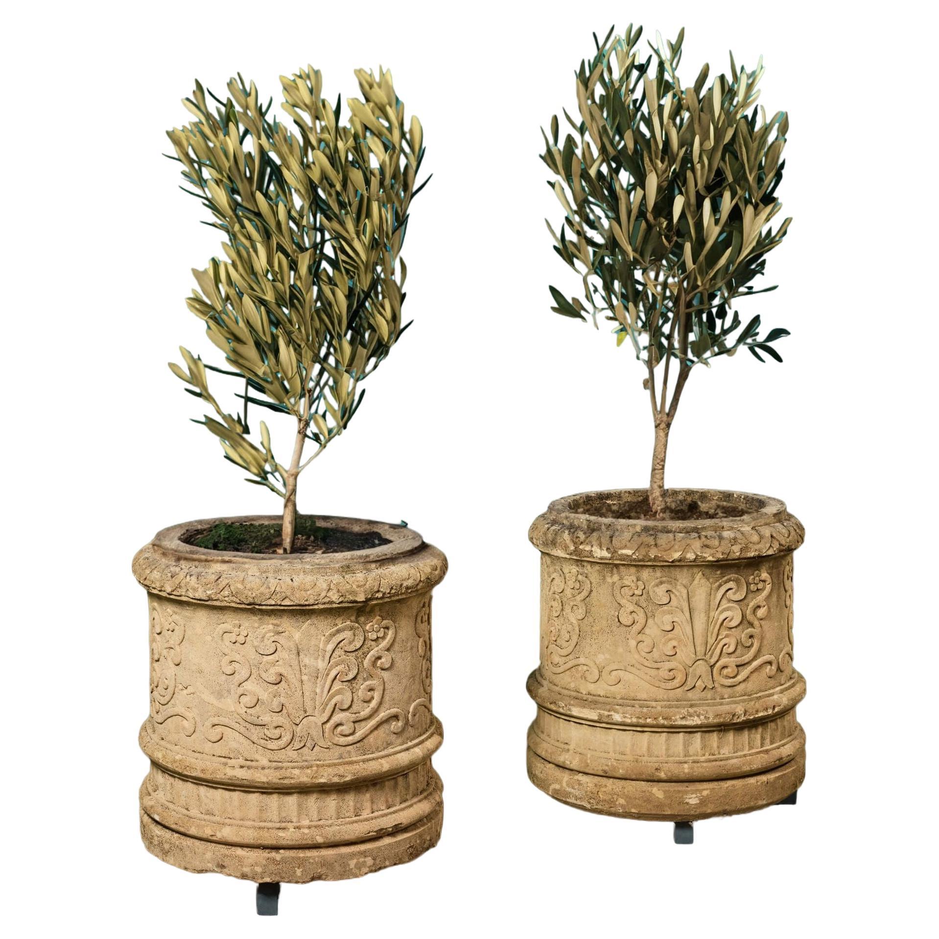 Two Large Reclaimed Carved Limestone Tree Planters