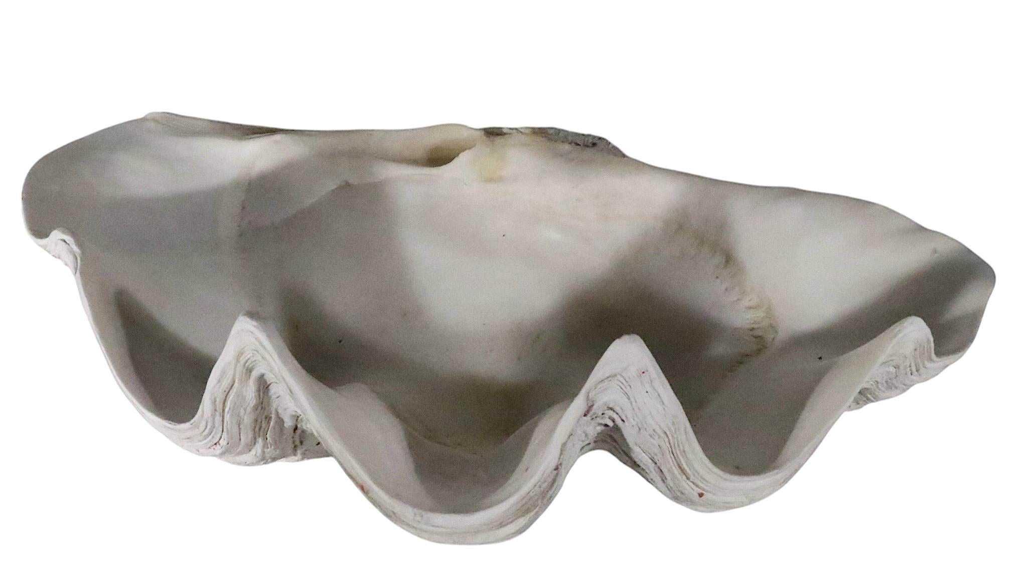 Os Deux grands coquillages de mer en vente
