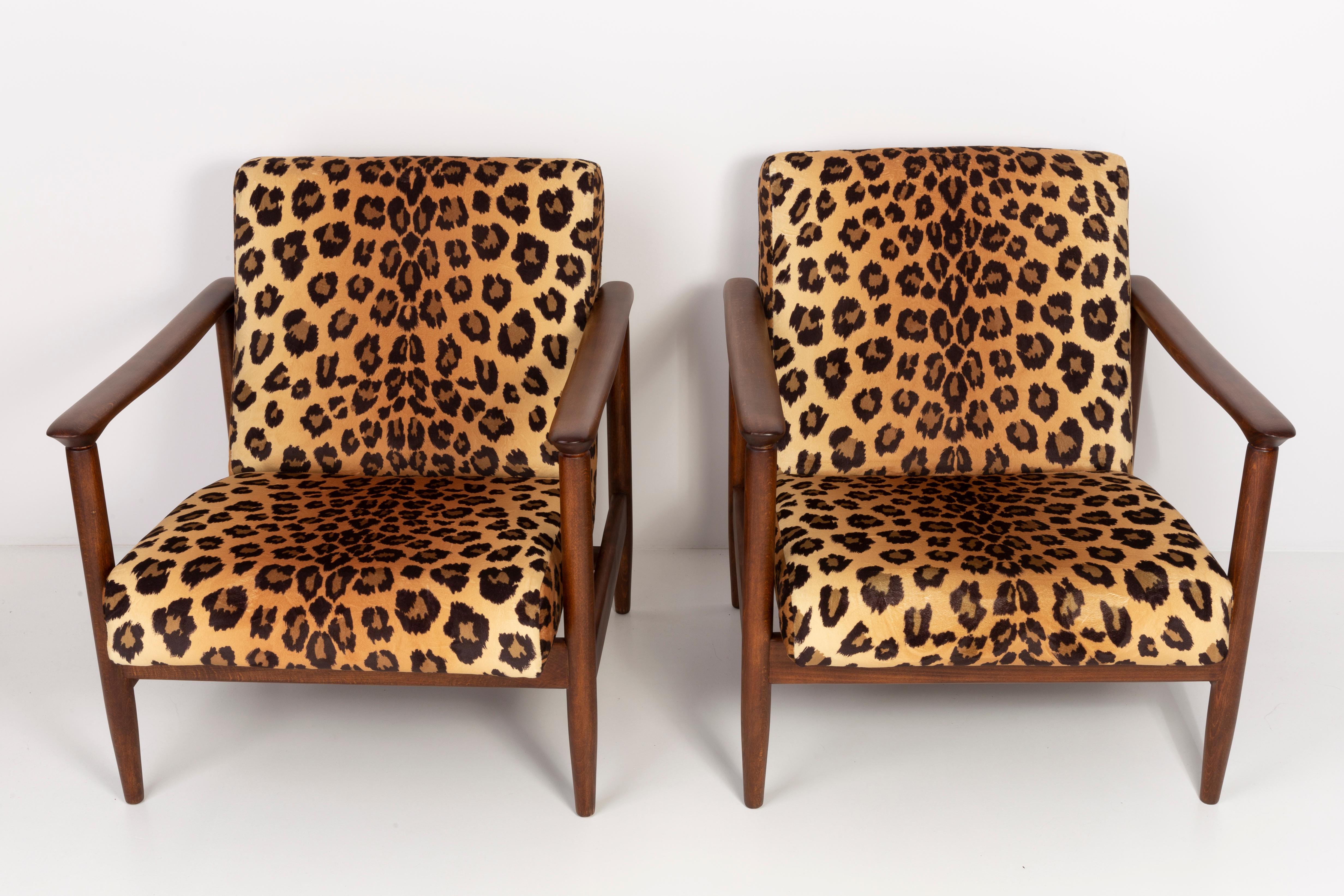 A pair of armchairs GFM-142 leopard armchairs, designed by Edmund Homa, a polish architect, designer of Industrial Design and interior architecture, professor at the Academy of Fine Arts in Gdansk.

The armchairs were made in the 1960s in the