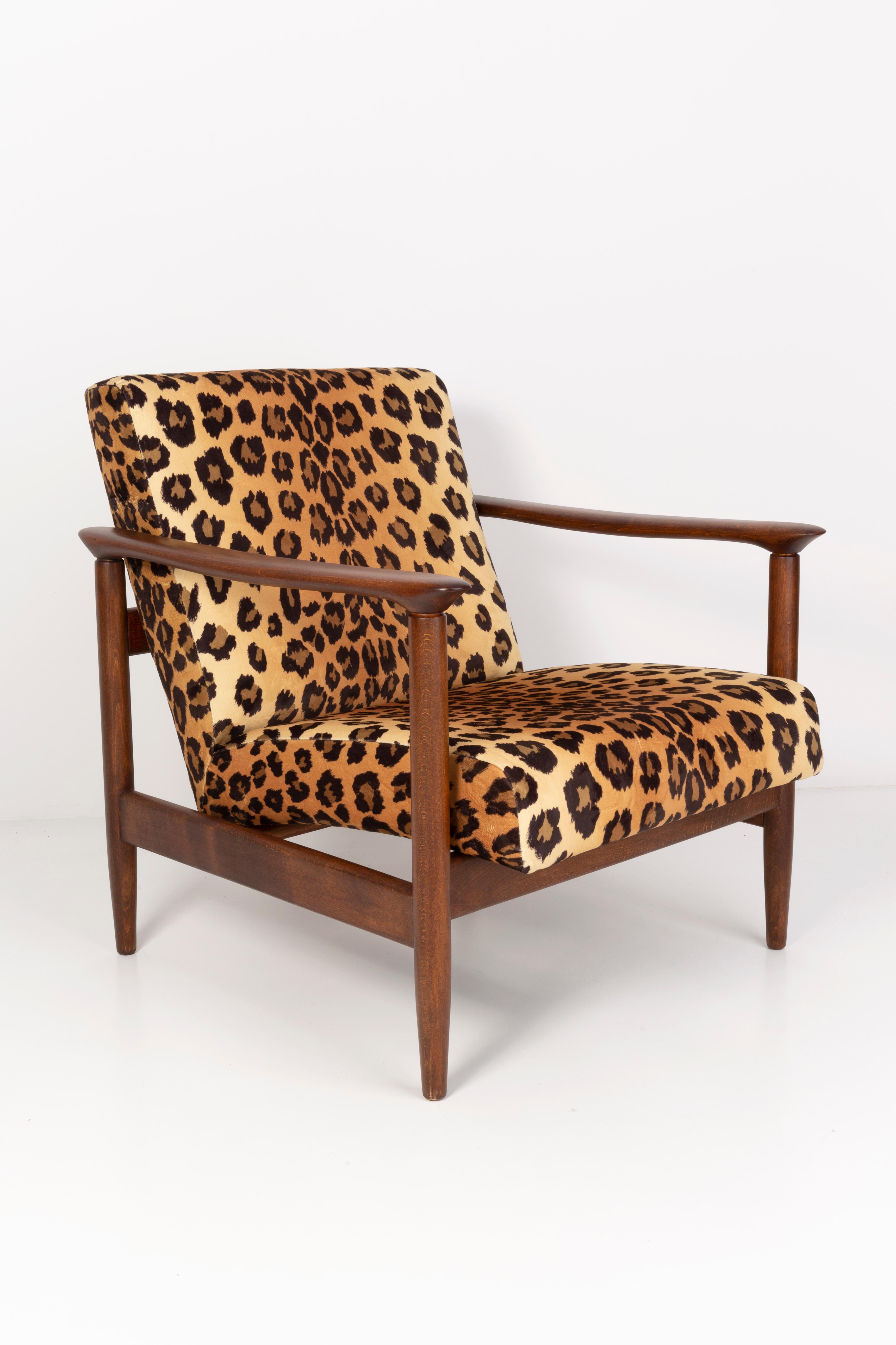 Mid-Century Modern Two Leopard Velvet Armchairs, Hollywood Regency, Edmund Homa, 1960s, Poland For Sale