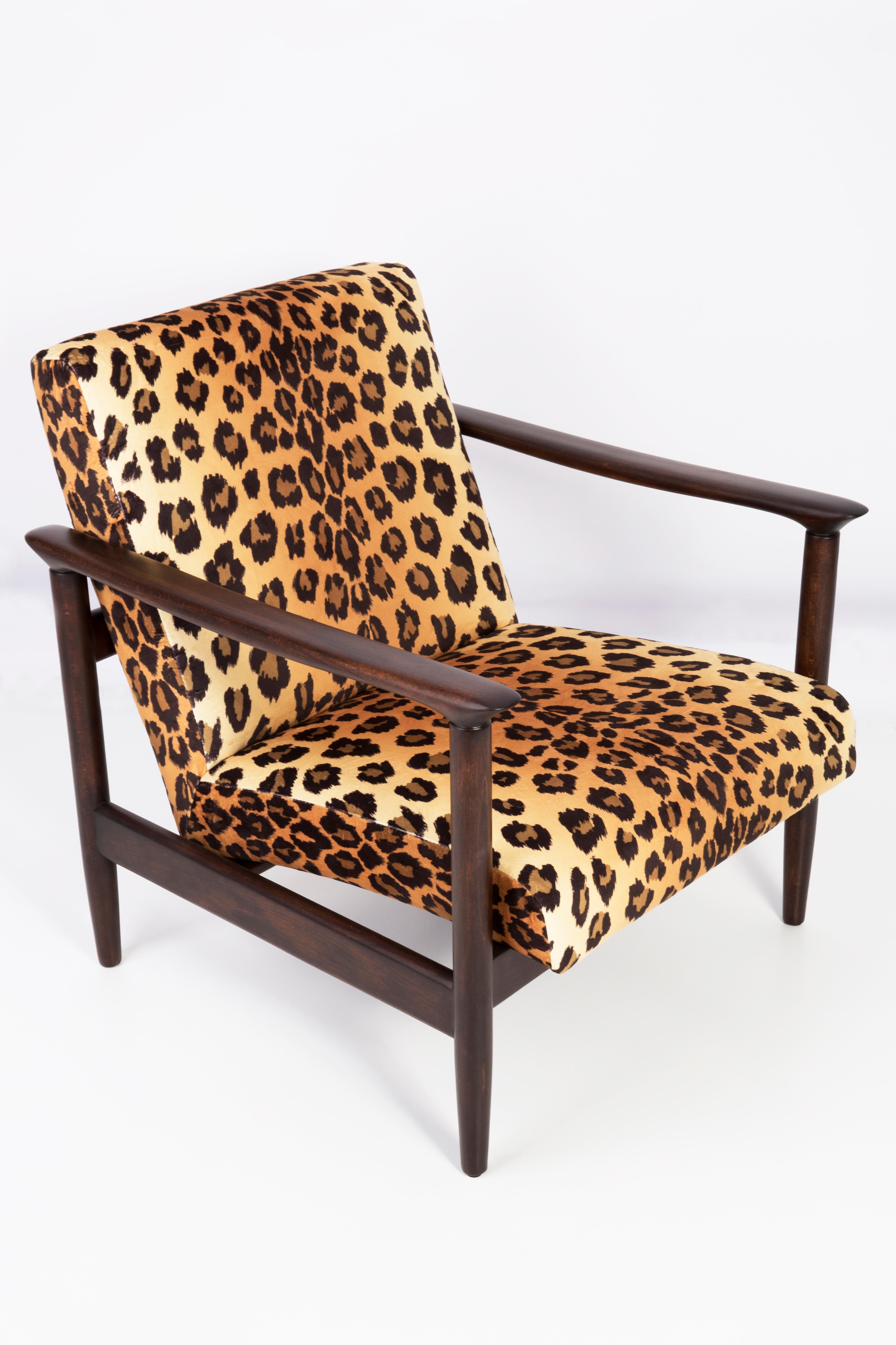 Textile Two Leopard Velvet Armchairs, Hollywood Regency, Edmund Homa, 1960s, Poland For Sale