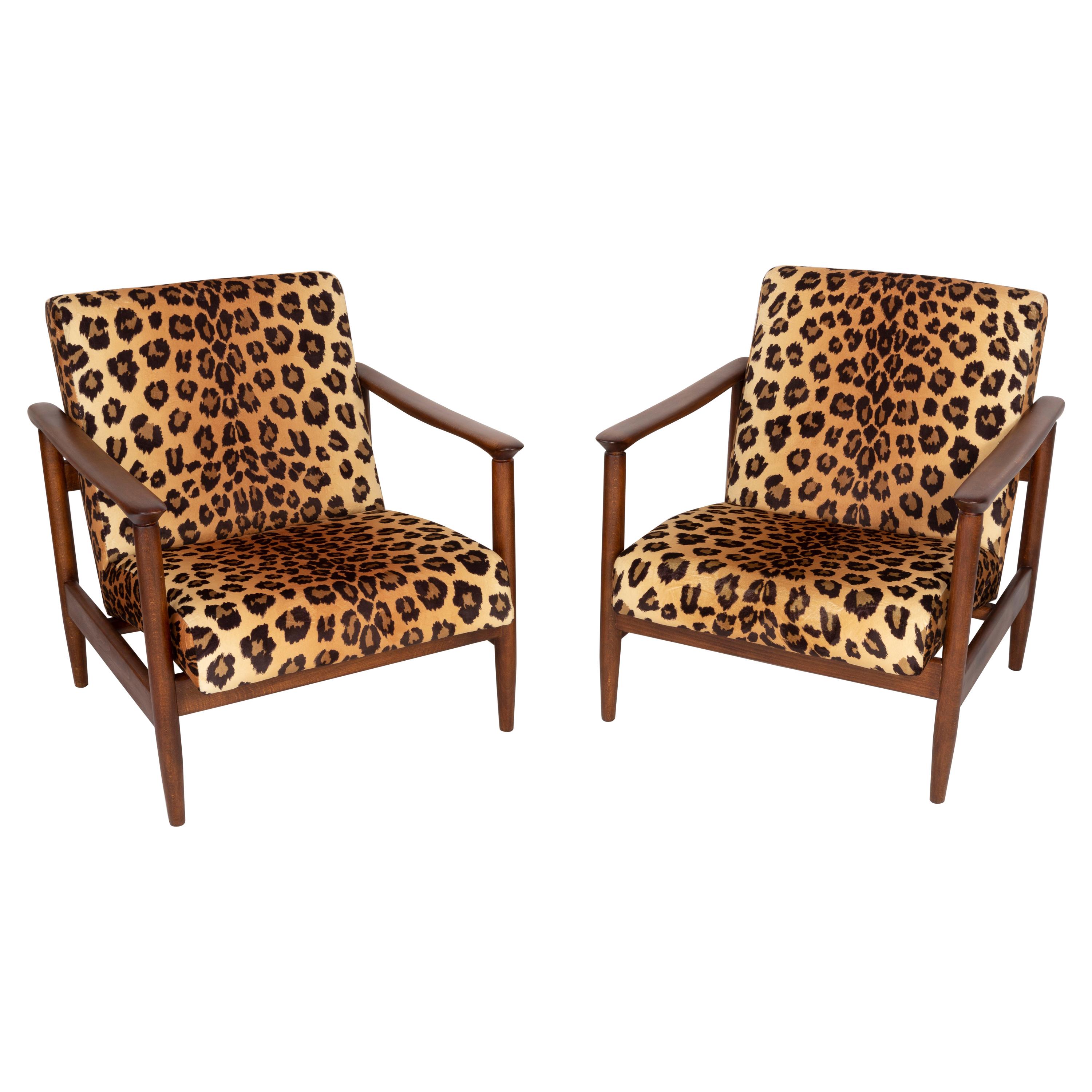 Zwei Sessel aus Samt mit Leopardenmuster, Hollywood Regency, Edmund Homa, 1960er Jahre, Polen