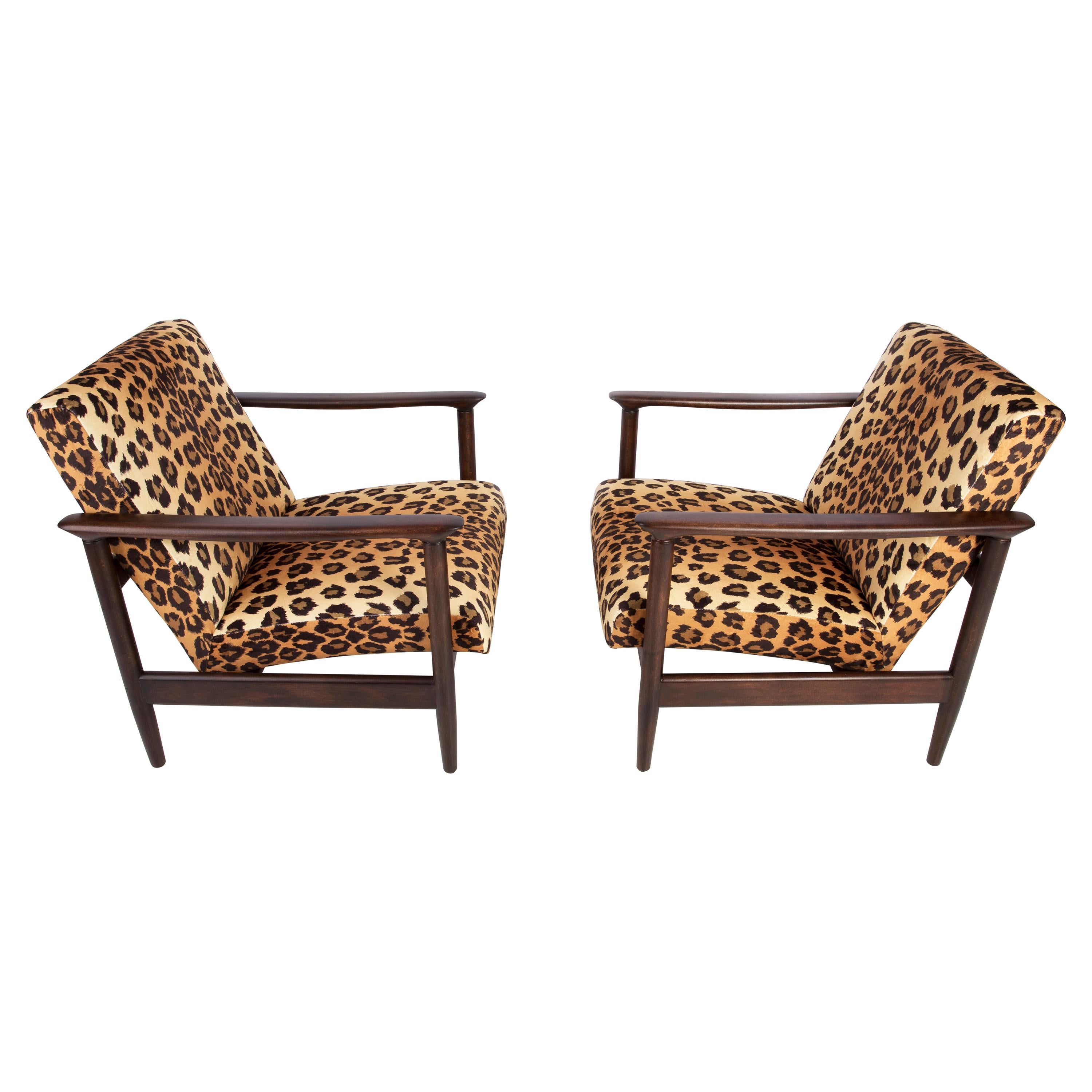 Two Leopard Velvet Armchairs, Hollywood Regency, Edmund Homa, 1960s, Poland