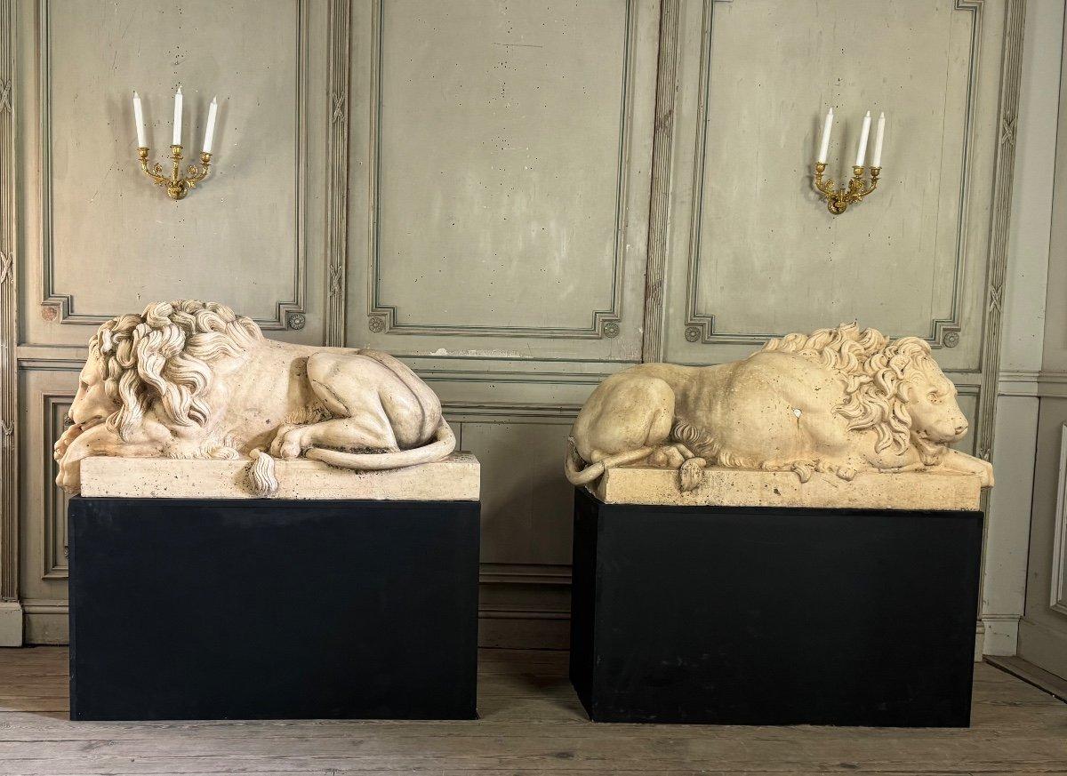 Zwei liegende Löwen aus weißer Terrakotta nach Canova. Die Skulpturen wurden etwa zehn Jahre lang in Italien im Freien ausgestellt, wodurch eine sehr schöne Patina entstanden ist. 

Zwei Chips am Körper und am Schwanz bei dem einen und ein Defekt am