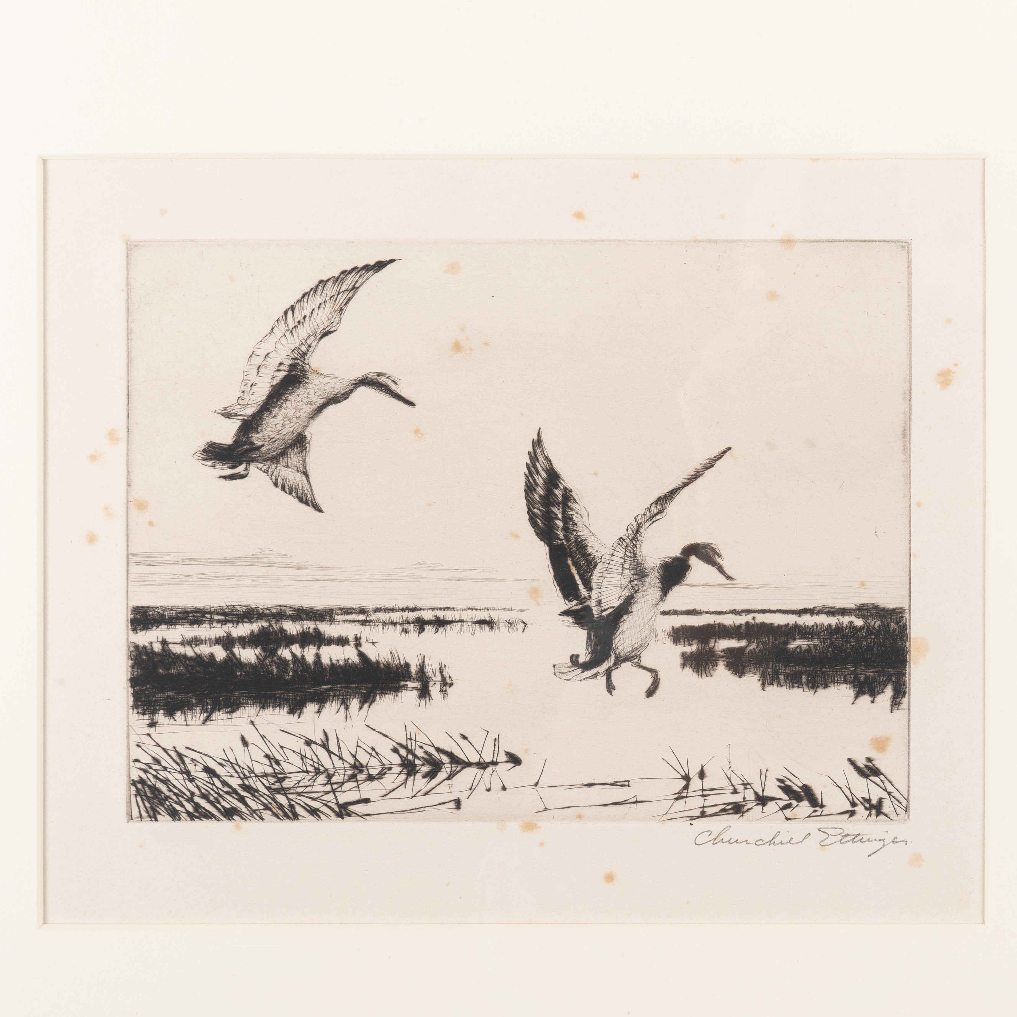 Engraving, printed on paper, of flying mallard ducks. Signed in graphite Churchill Ettinger (1903-1985). Ettinger studied at Columbia University, National Academy of Design, The Art Students League, and the New York School of Industrial Art, where