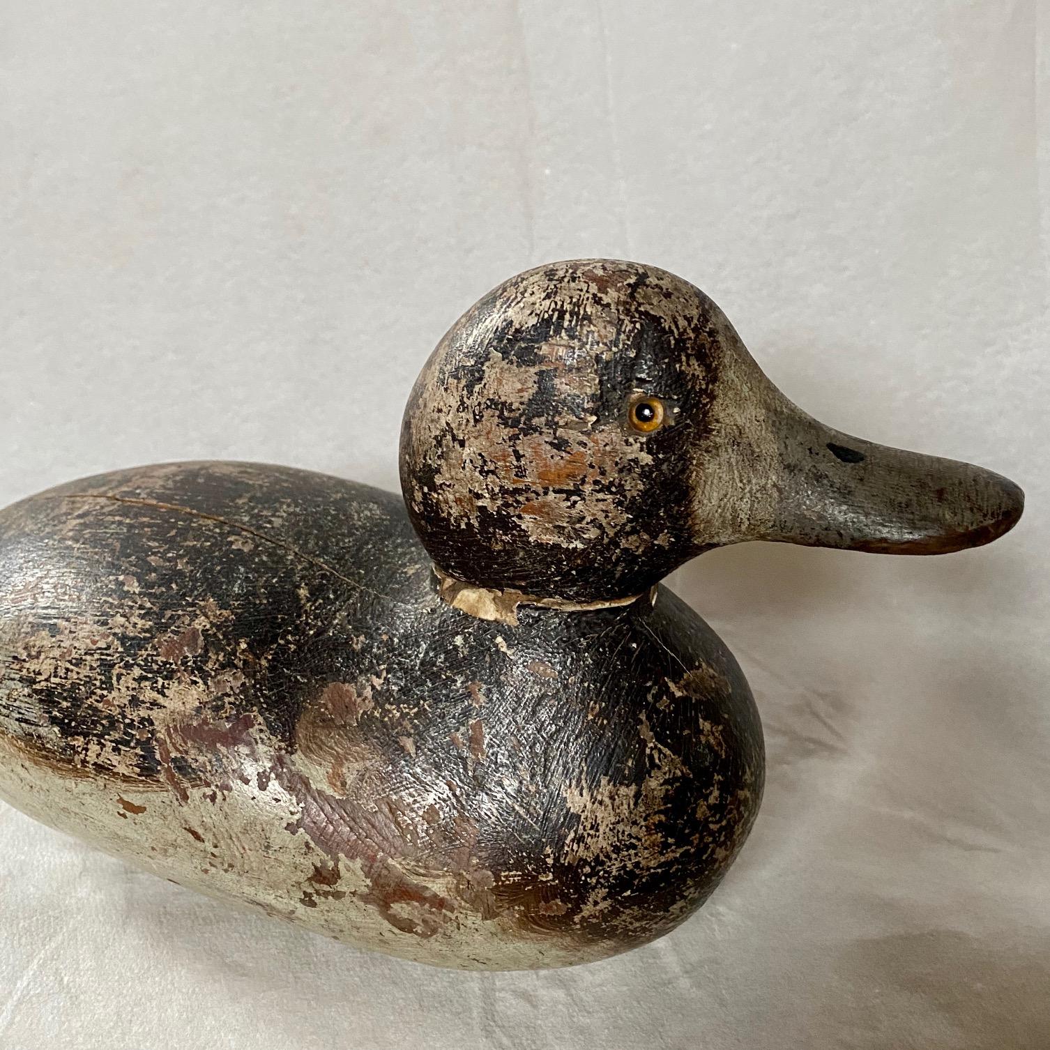 Early 20th Century Two Mason Broadbill Duck Decoys