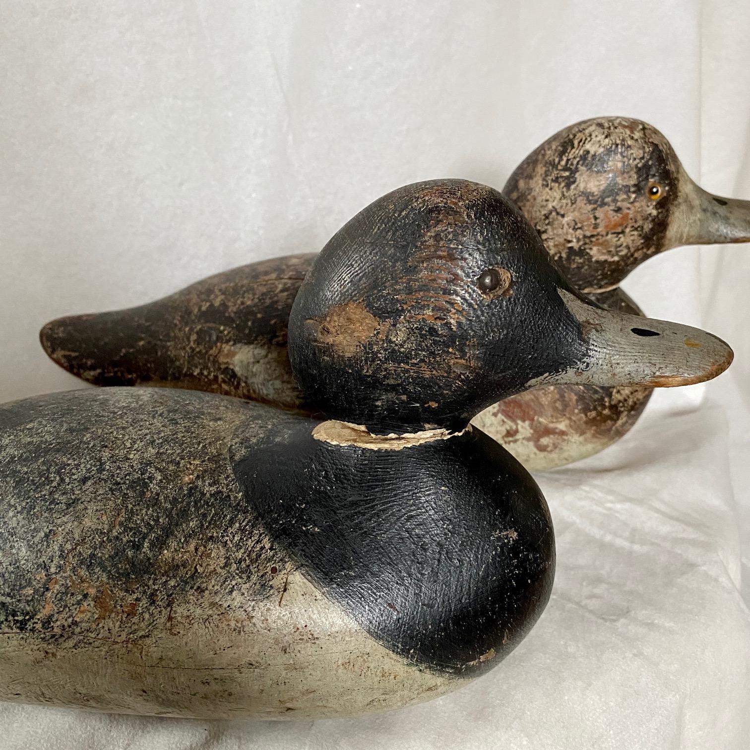 Two Scarce Mason Broadbill Duck Decoys, an unusual variant of the Bluebill or Scaup featuring a wider shovel bill; the Hen is a standard grade glass eye model, circa 1920, in very good but worn original paint with strong breast swirls, old working