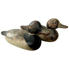 Antique Two Mason Broadbill Duck Decoys
