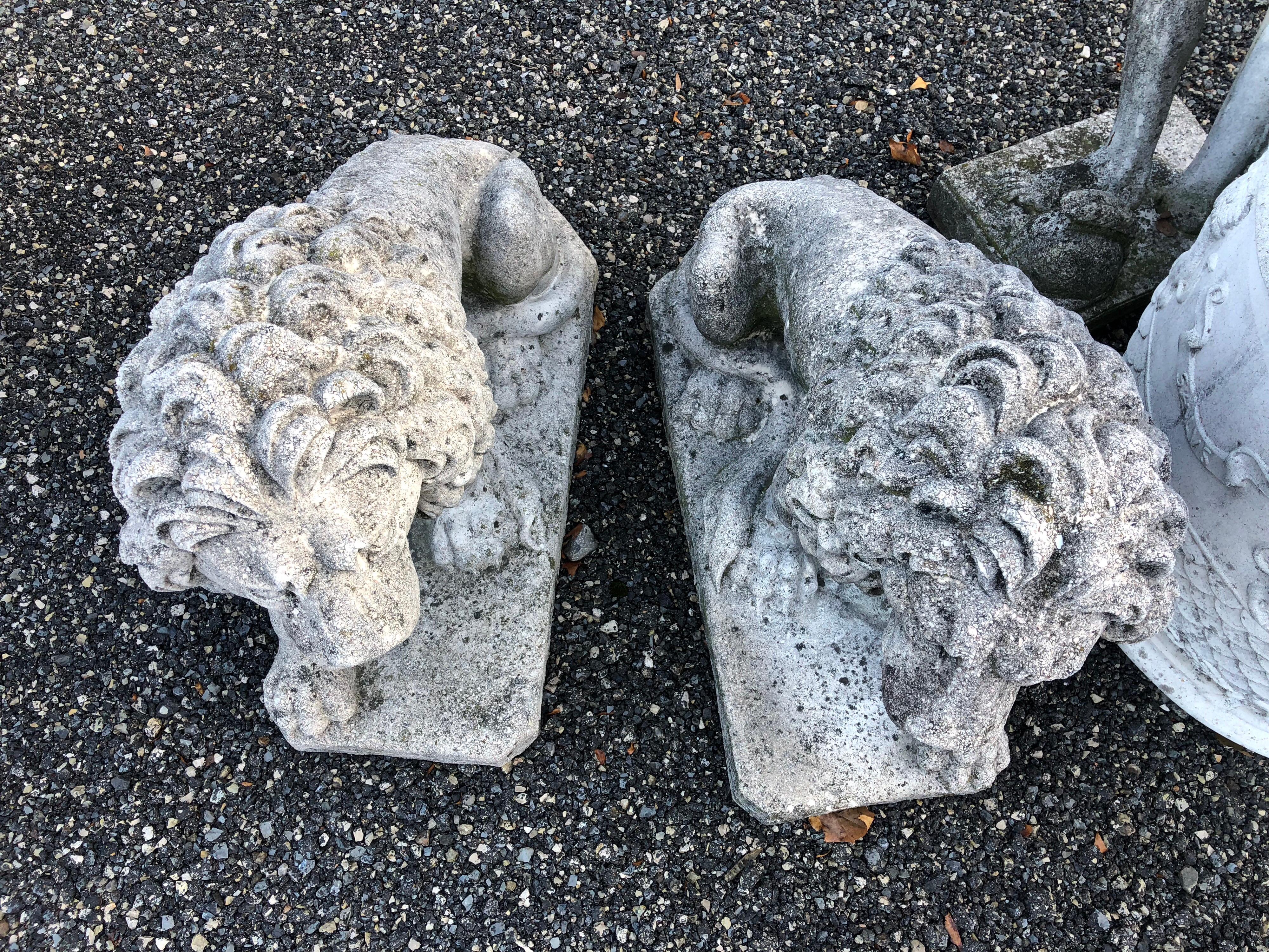 Two medium Italian cement cast garden gate lions, 1950.







 