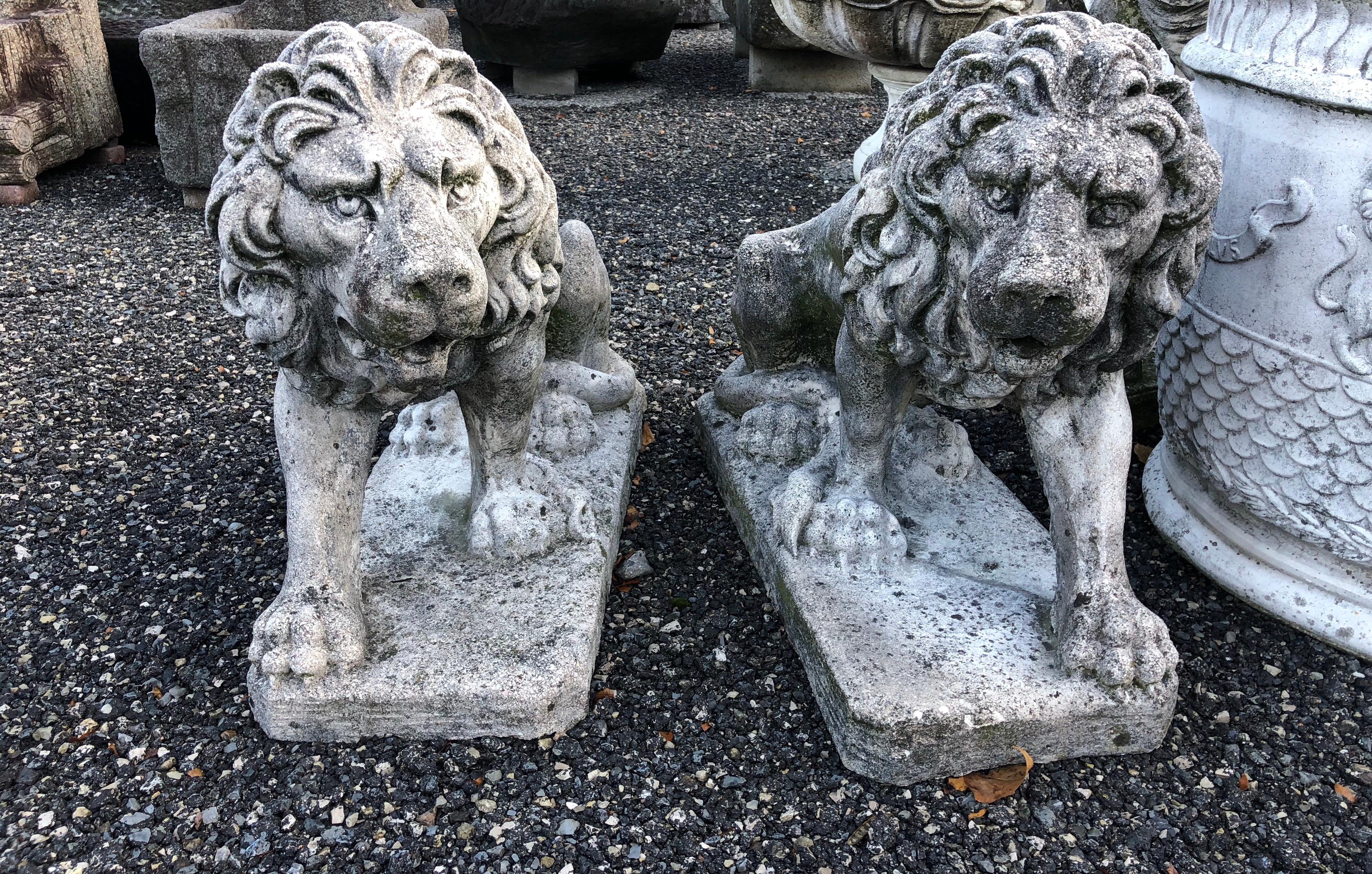 Two Medium Italian Cement Cast Garden Gate Lions, 1950 1