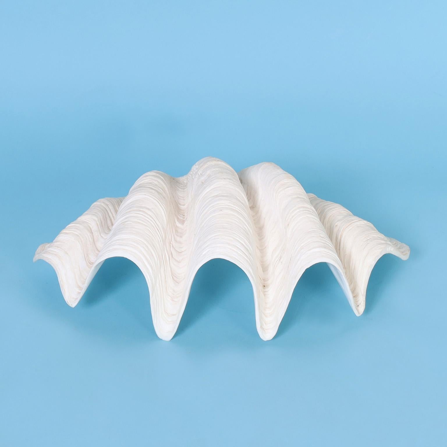 Two Medium Size Clam Shells, Priced Individually  1