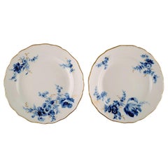 Two Meissen Plates in Hand Painted Porcelain with Flowers and Gold Rim