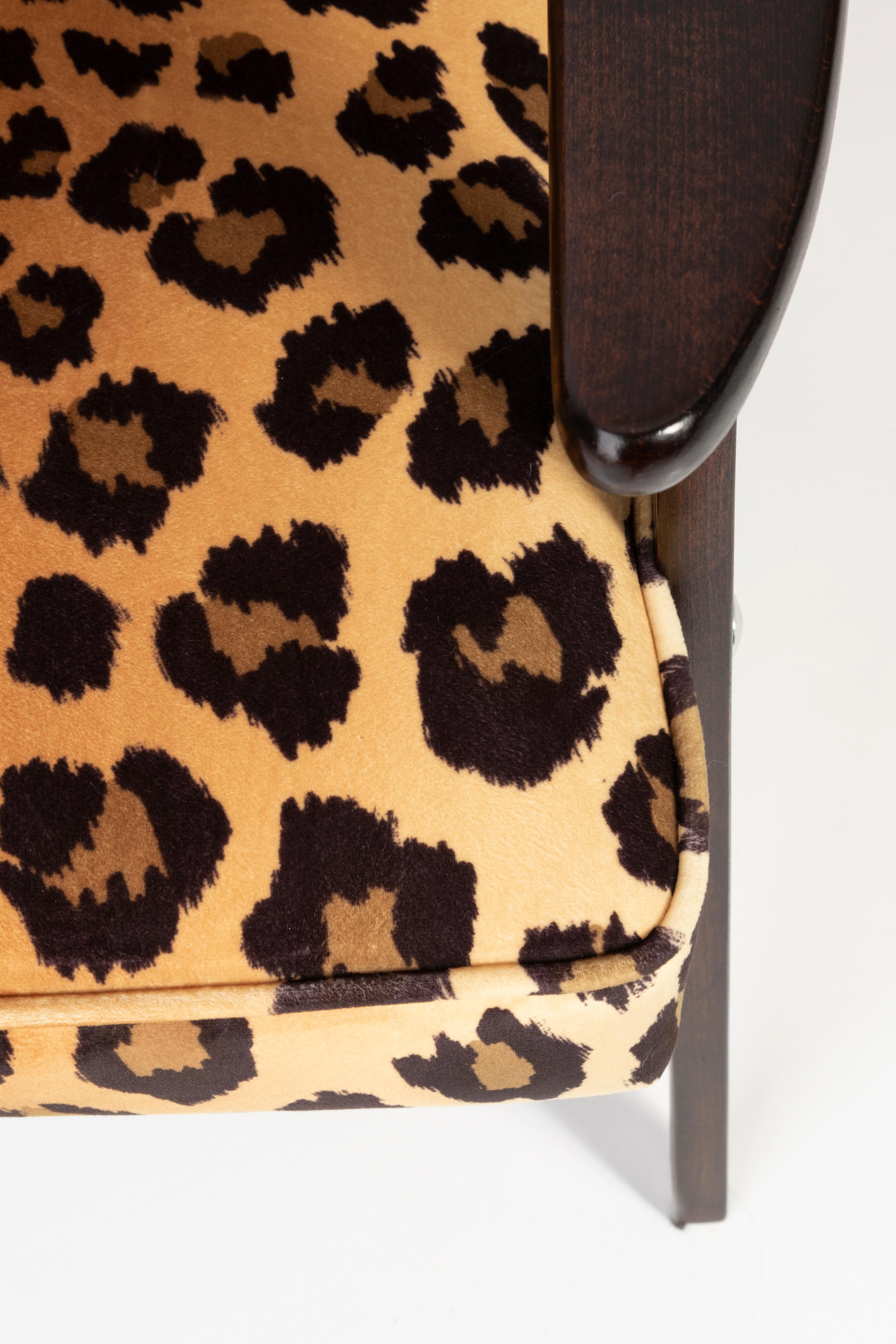 Two Midcentury 366 Armchairs in Leopard Print Velvet, Jozef Chierowski, 1960s For Sale 2