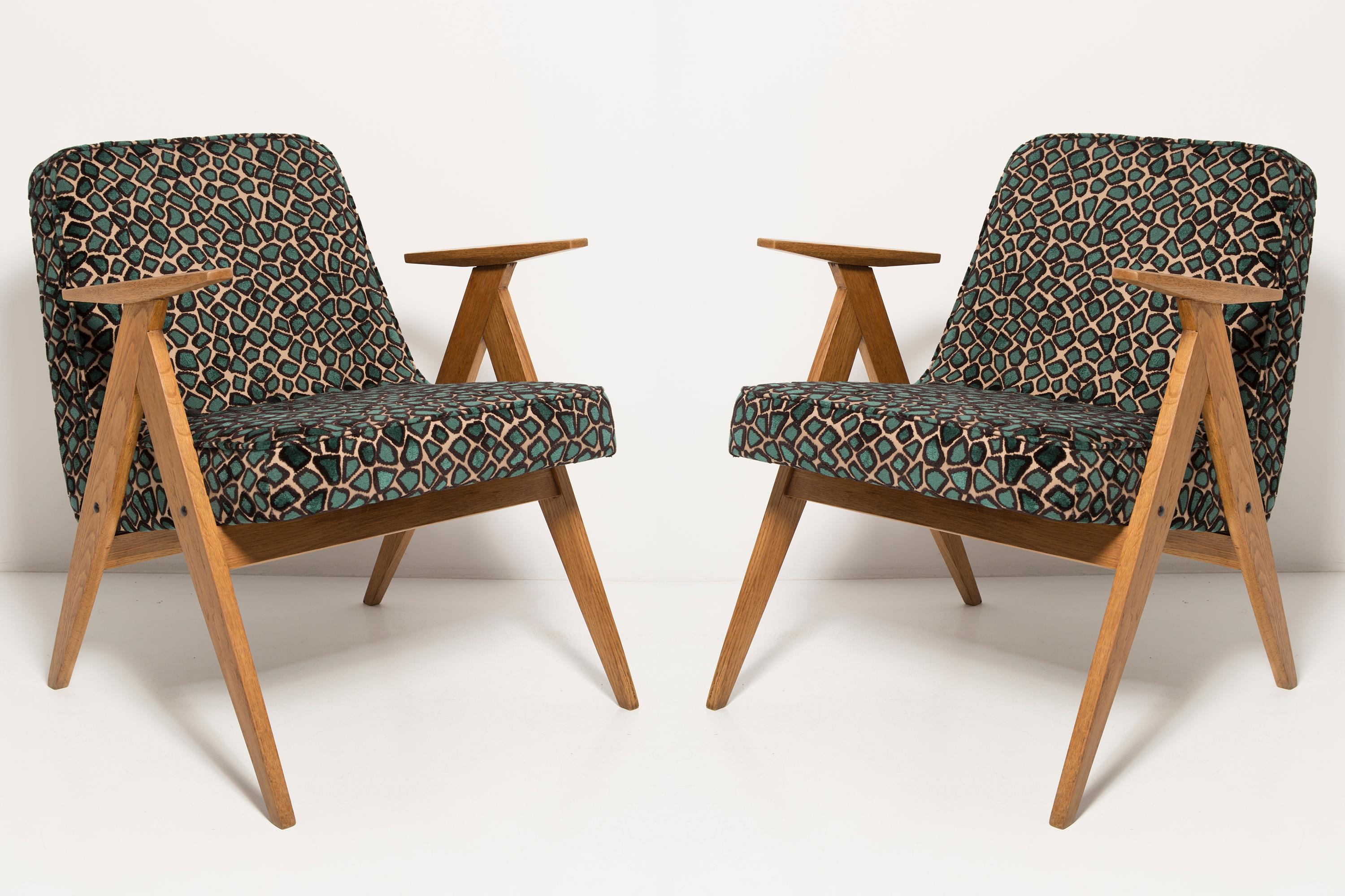 Mid-Century Modern Two Mid Century 366 Armchairs in Leopard Velvet, by Chierowski, Europe, 1960s For Sale