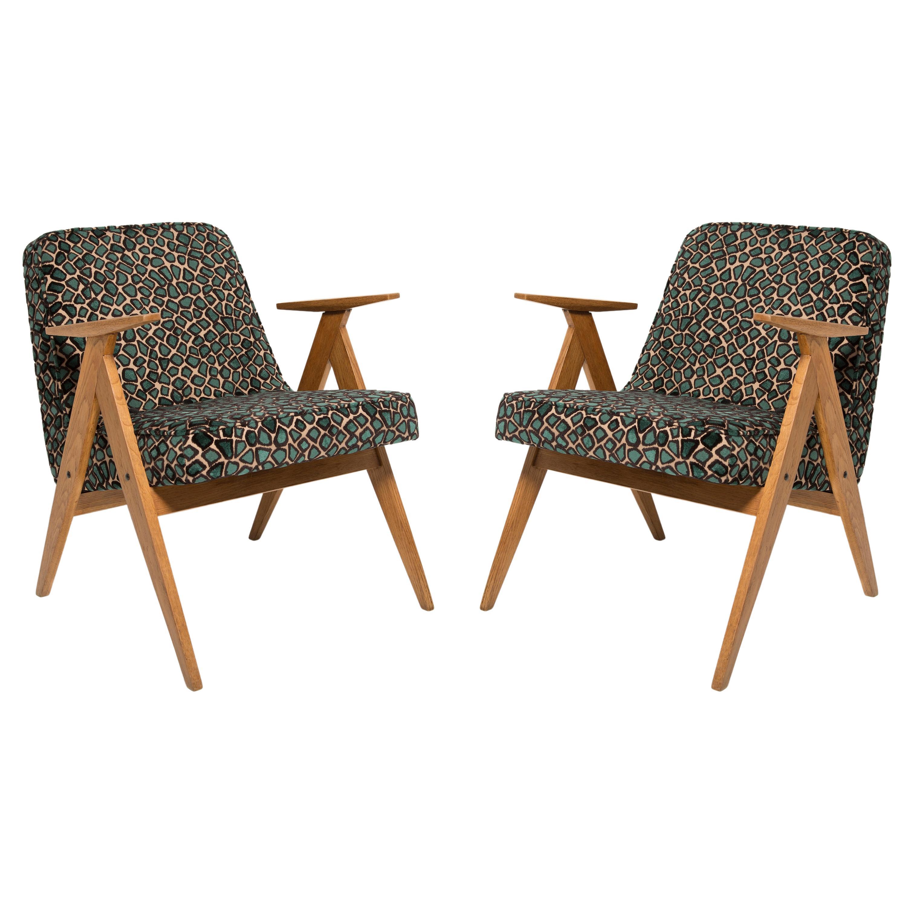 Two Mid Century 366 Armchairs in Leopard Velvet, by Chierowski, Europe, 1960s For Sale