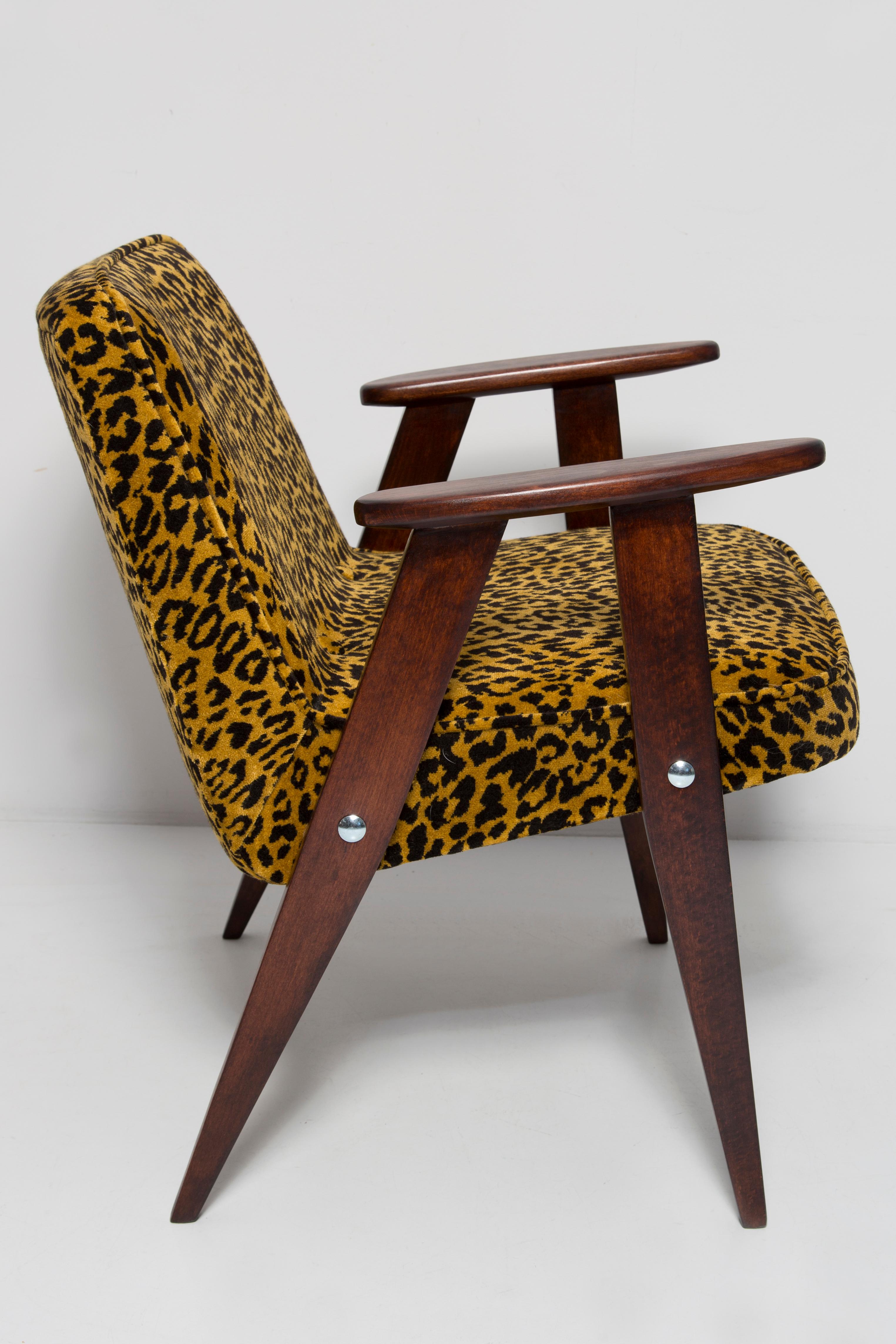 Fatto a mano Due poltrone 366 di metà secolo in velluto leopardato, Jozef Chierowski, Europa anni '60 in vendita