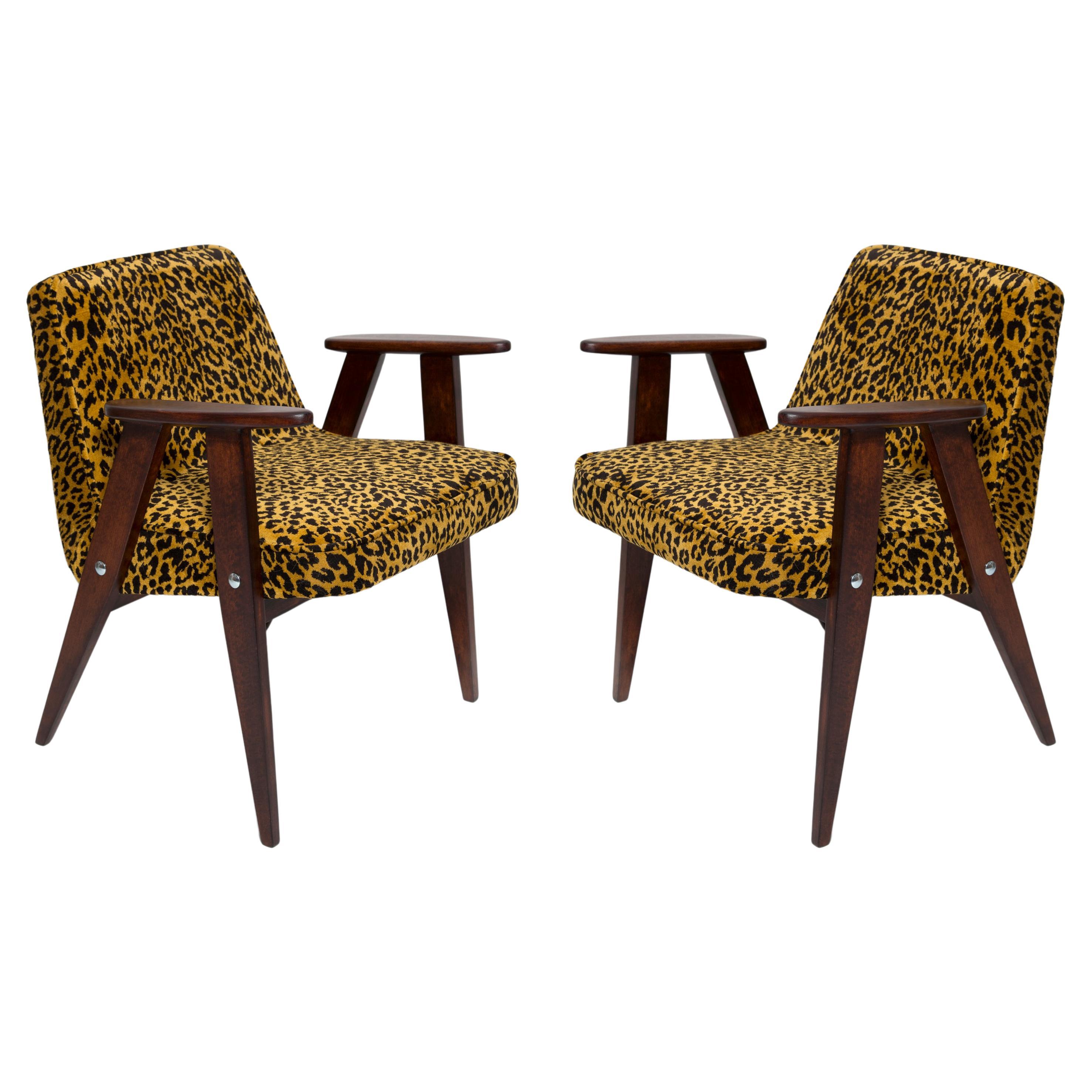 Two Mid-Century 366 Armchairs in Leopard Velvet, Jozef Chierowski, Europe 1960s
