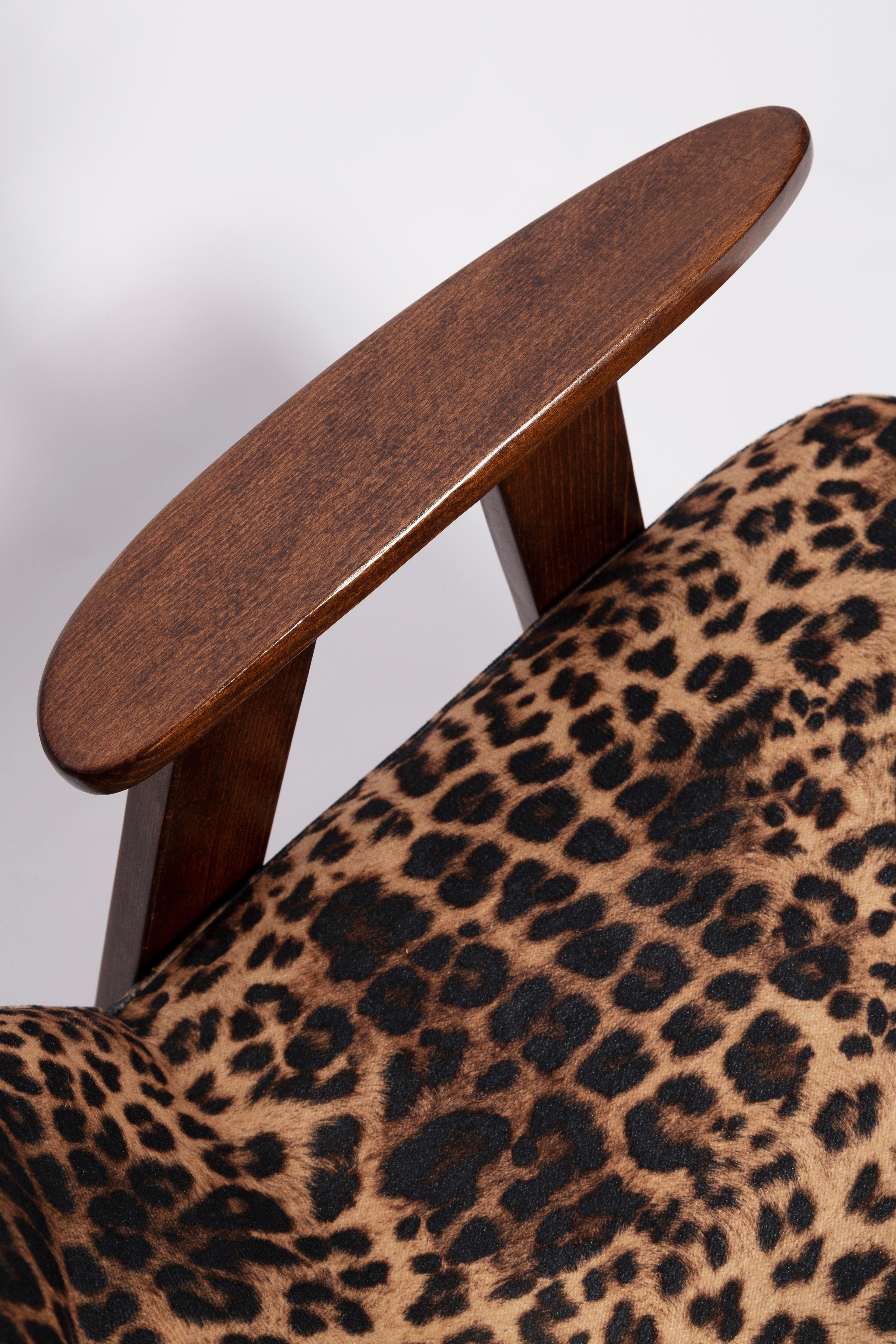 Two Midcentury 366 Armchairs in Leopard Print Velvet, Jozef Chierowski, 1960s For Sale 3
