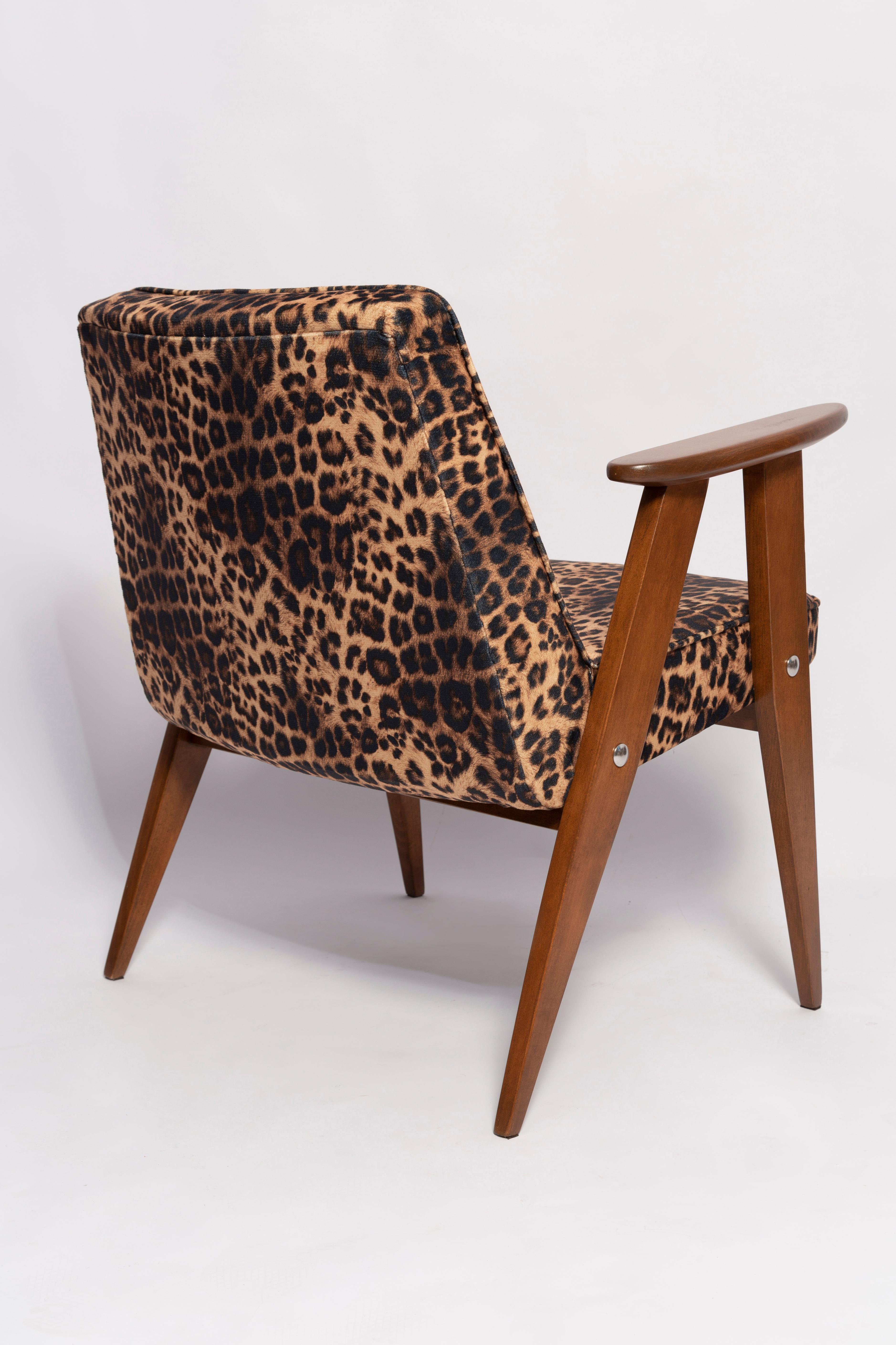 Two Mid Century 366 Armchairs in Leopard Print Velvet, Jozef Chierowski, 1960s For Sale 3