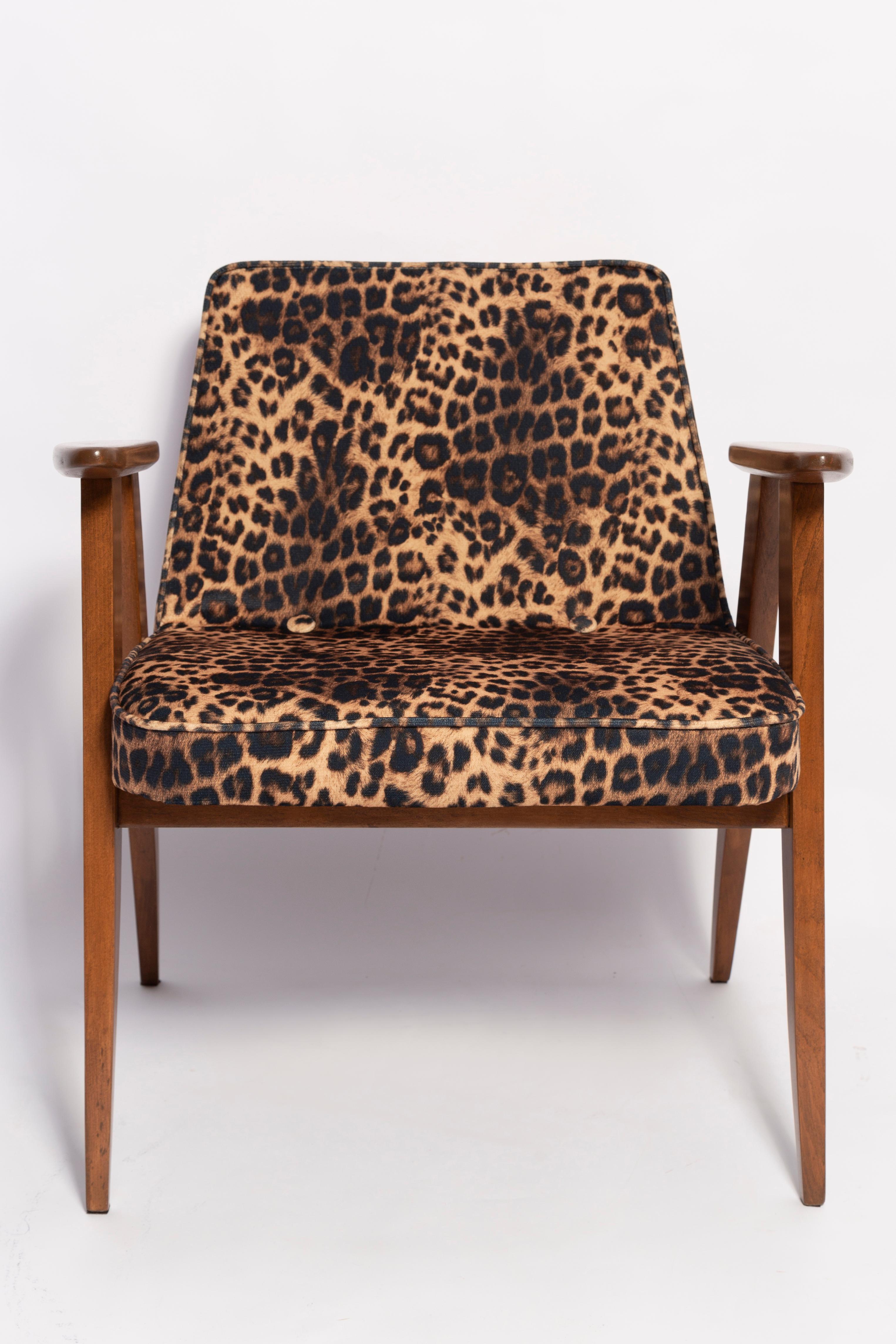 Two Mid Century 366 Armchairs in Leopard Print Velvet, Jozef Chierowski, 1960s For Sale 4