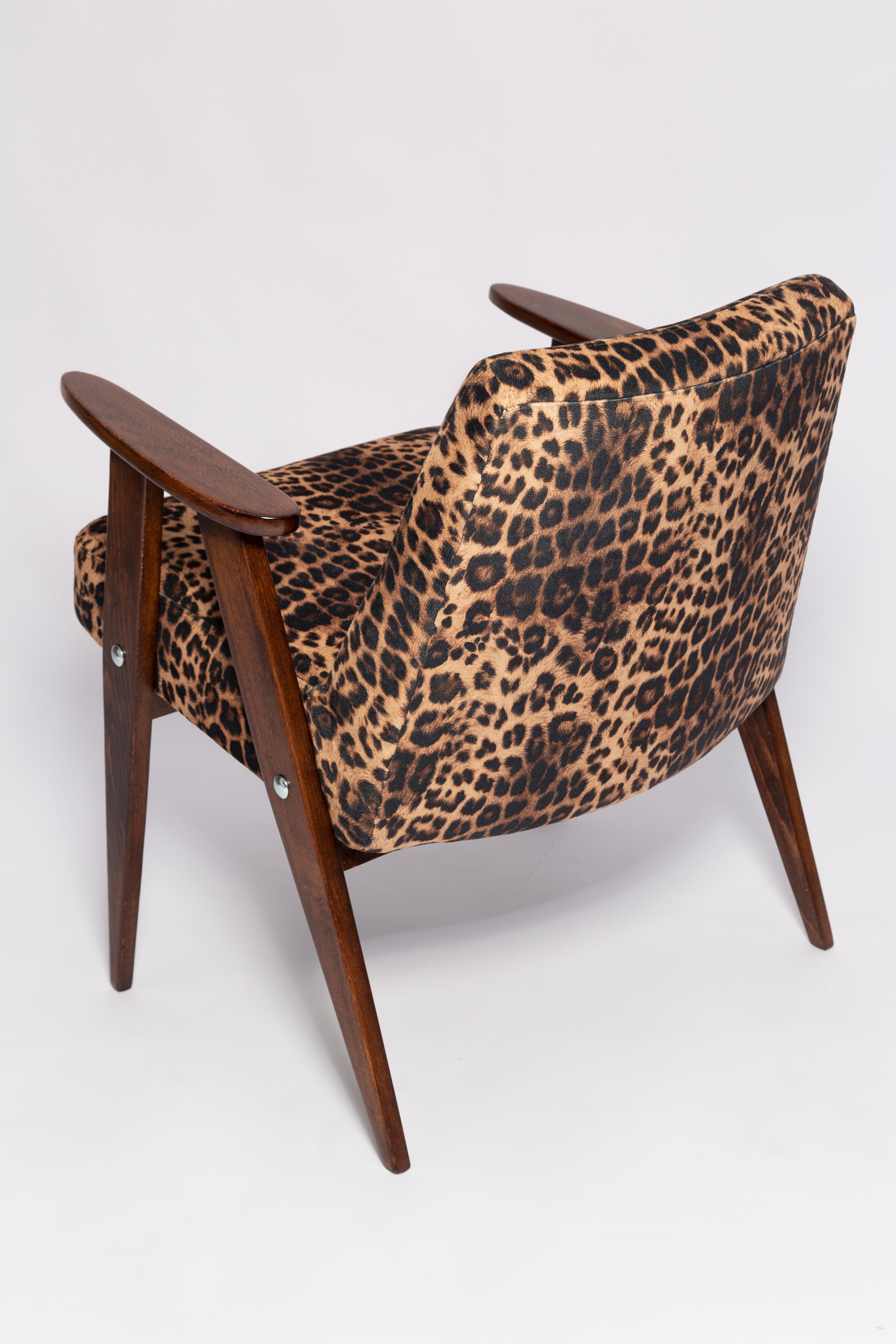 Two Midcentury 366 Armchairs in Leopard Print Velvet, Jozef Chierowski, 1960s For Sale 5