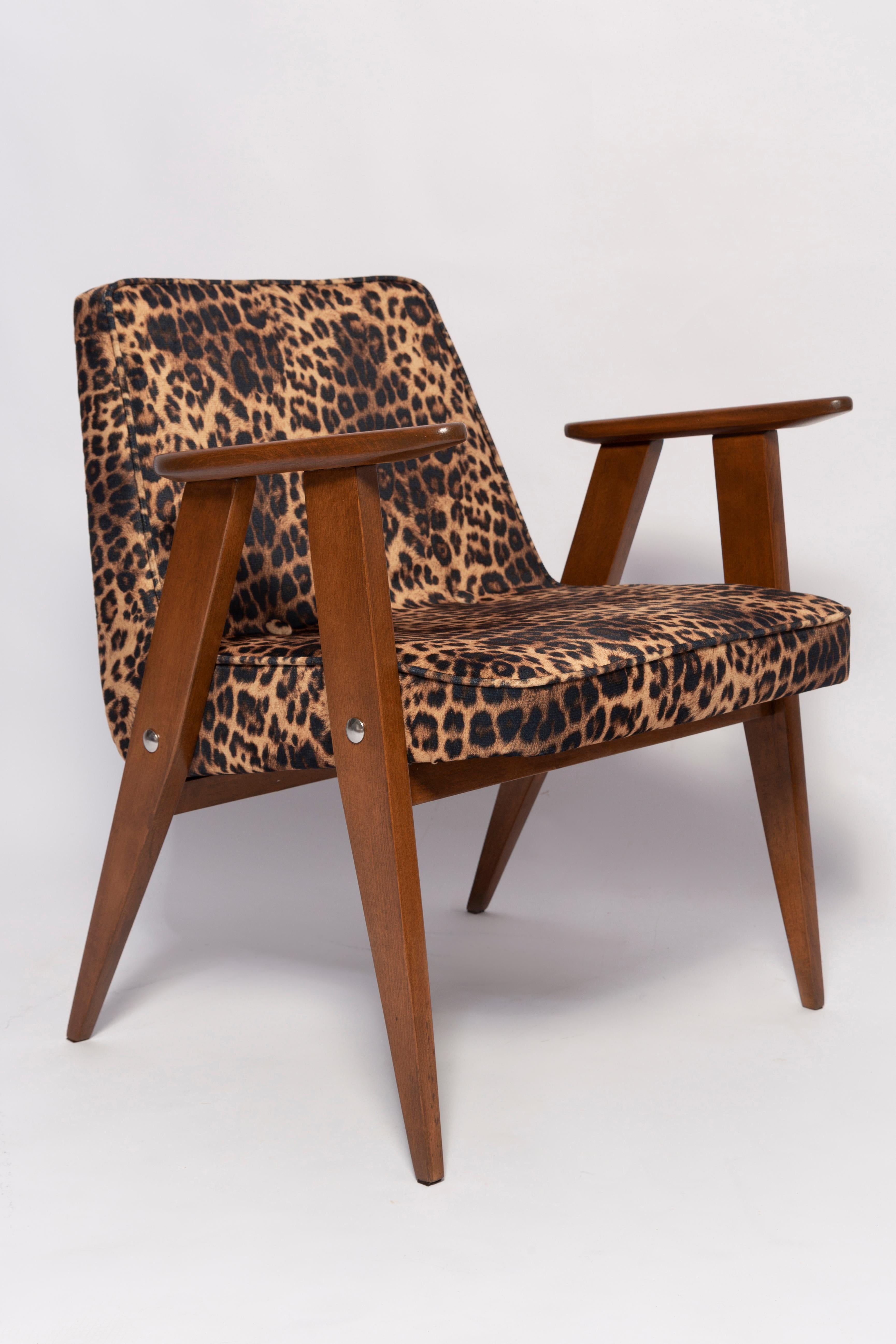 Mid-Century Modern Two Mid Century 366 Armchairs in Leopard Print Velvet, Jozef Chierowski, 1960s For Sale