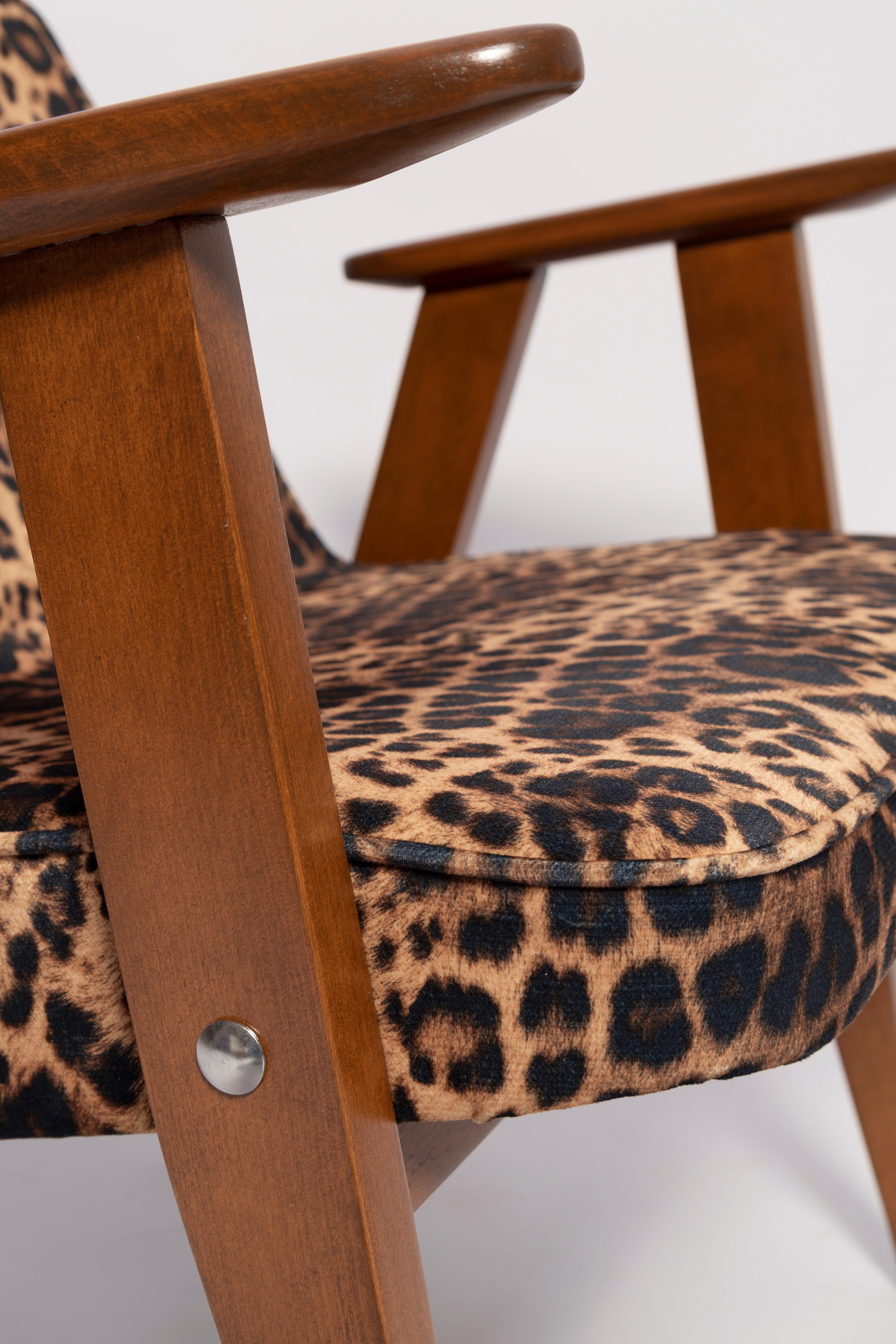 Polish Two Mid Century 366 Armchairs in Leopard Print Velvet, Jozef Chierowski, 1960s For Sale