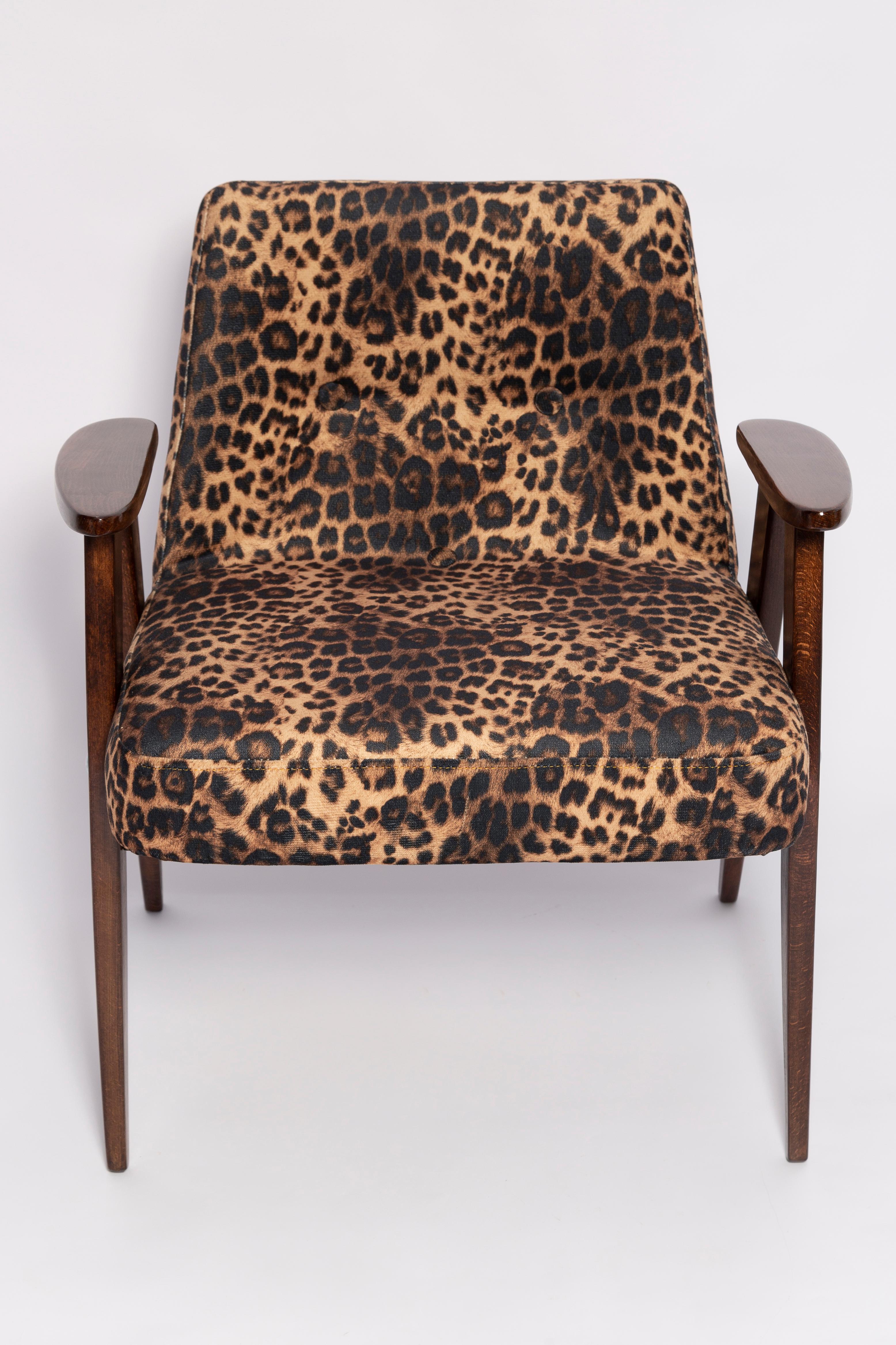 Two Midcentury 366 Armchairs in Leopard Print Velvet, Jozef Chierowski, 1960s In Excellent Condition For Sale In 05-080 Hornowek, PL