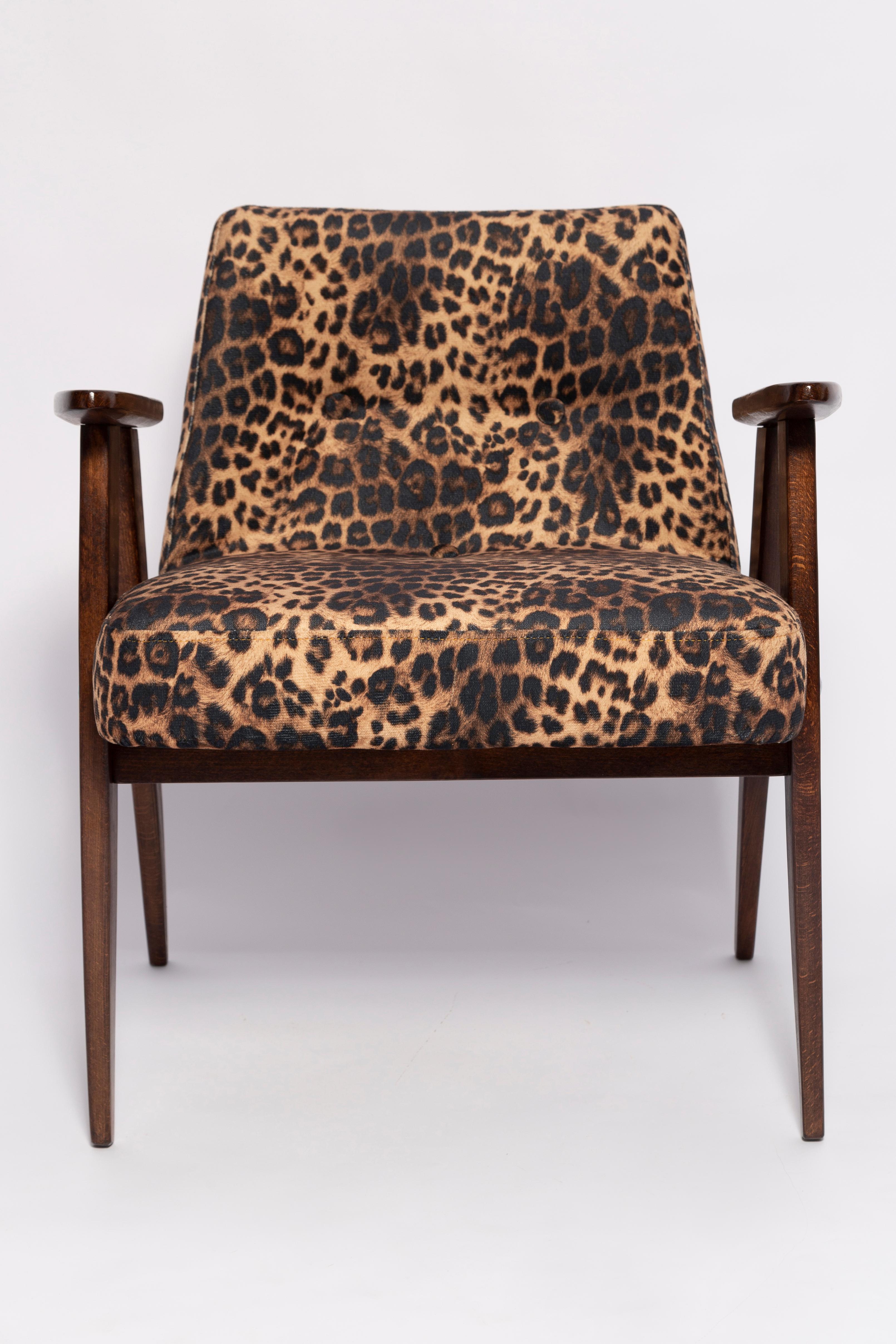20th Century Two Midcentury 366 Armchairs in Leopard Print Velvet, Jozef Chierowski, 1960s For Sale