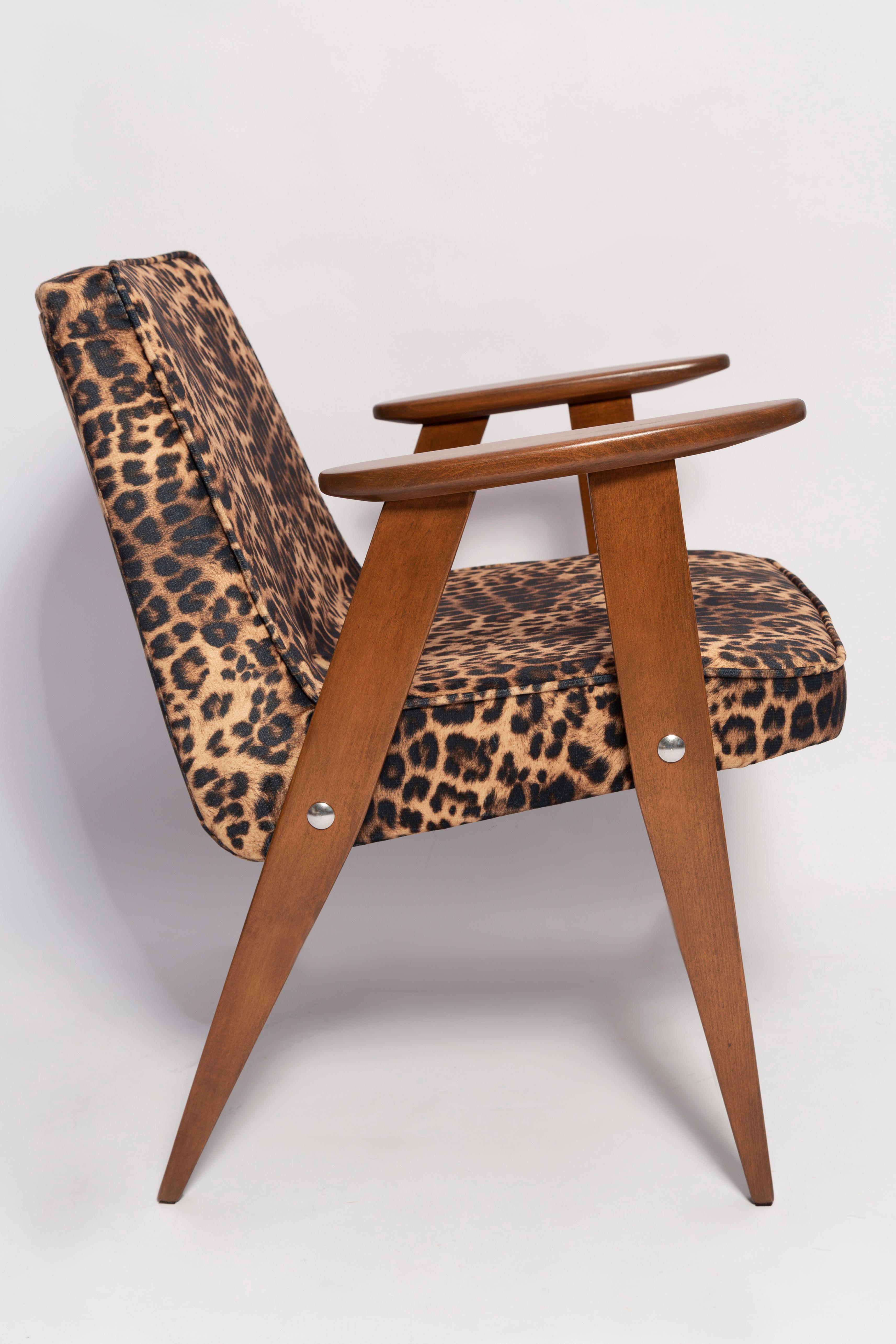 Two Mid Century 366 Armchairs in Leopard Print Velvet, Jozef Chierowski, 1960s For Sale 1
