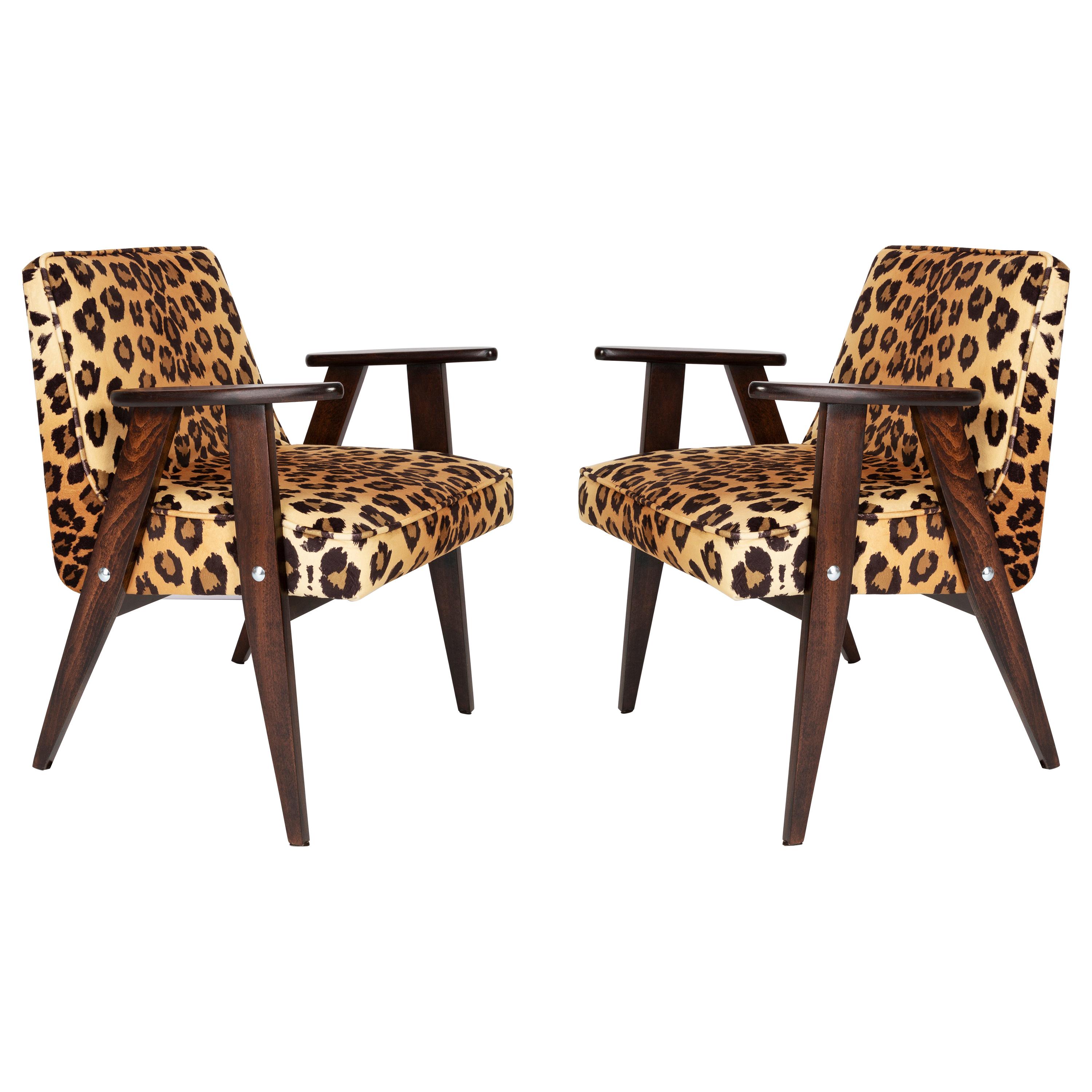 Zwei Sessel 366 aus der Mitte des Jahrhunderts aus Samt mit Leopardenmuster, Jozef Chierowski, 1960er Jahre