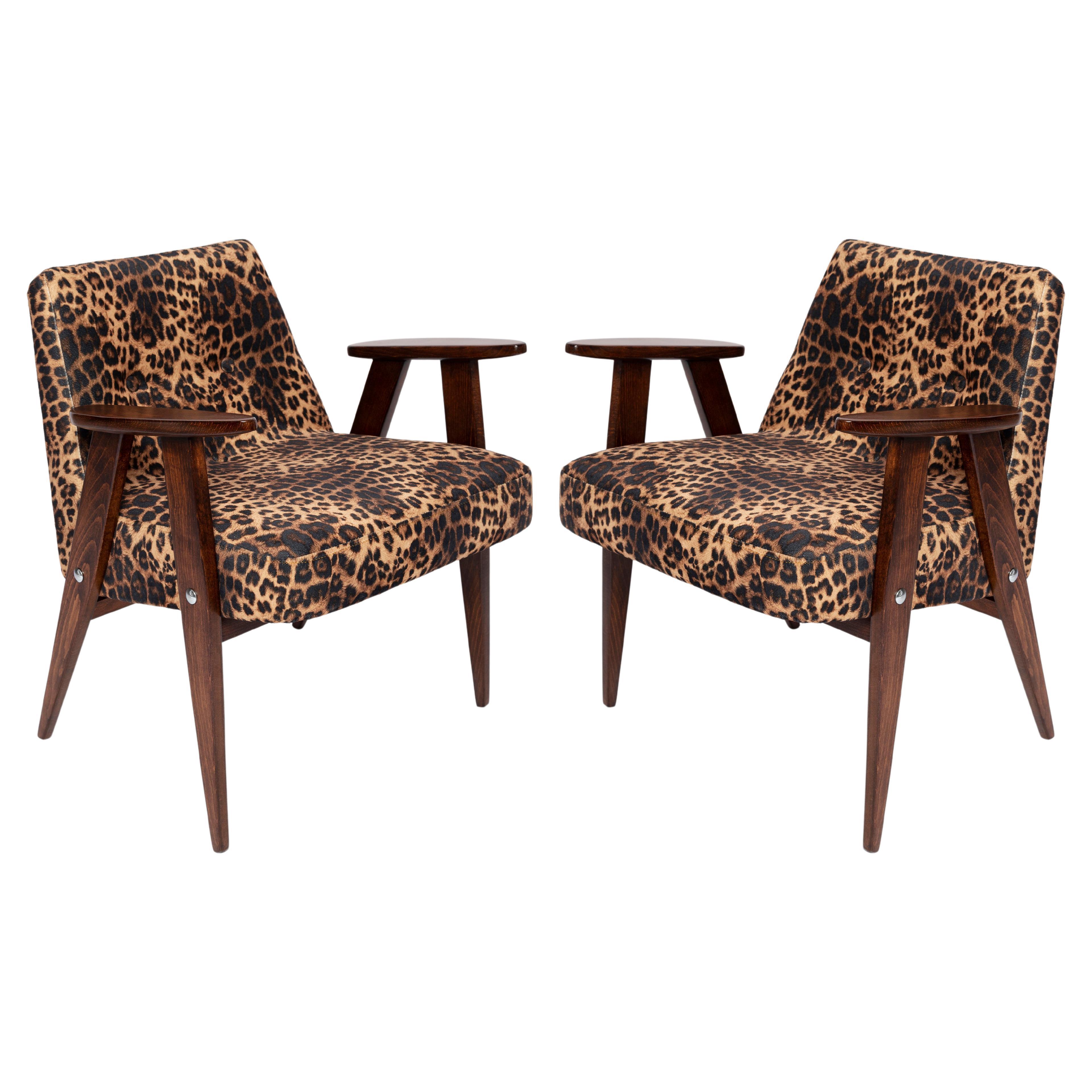 Two Midcentury 366 Armchairs in Leopard Print Velvet, Jozef Chierowski, 1960s For Sale