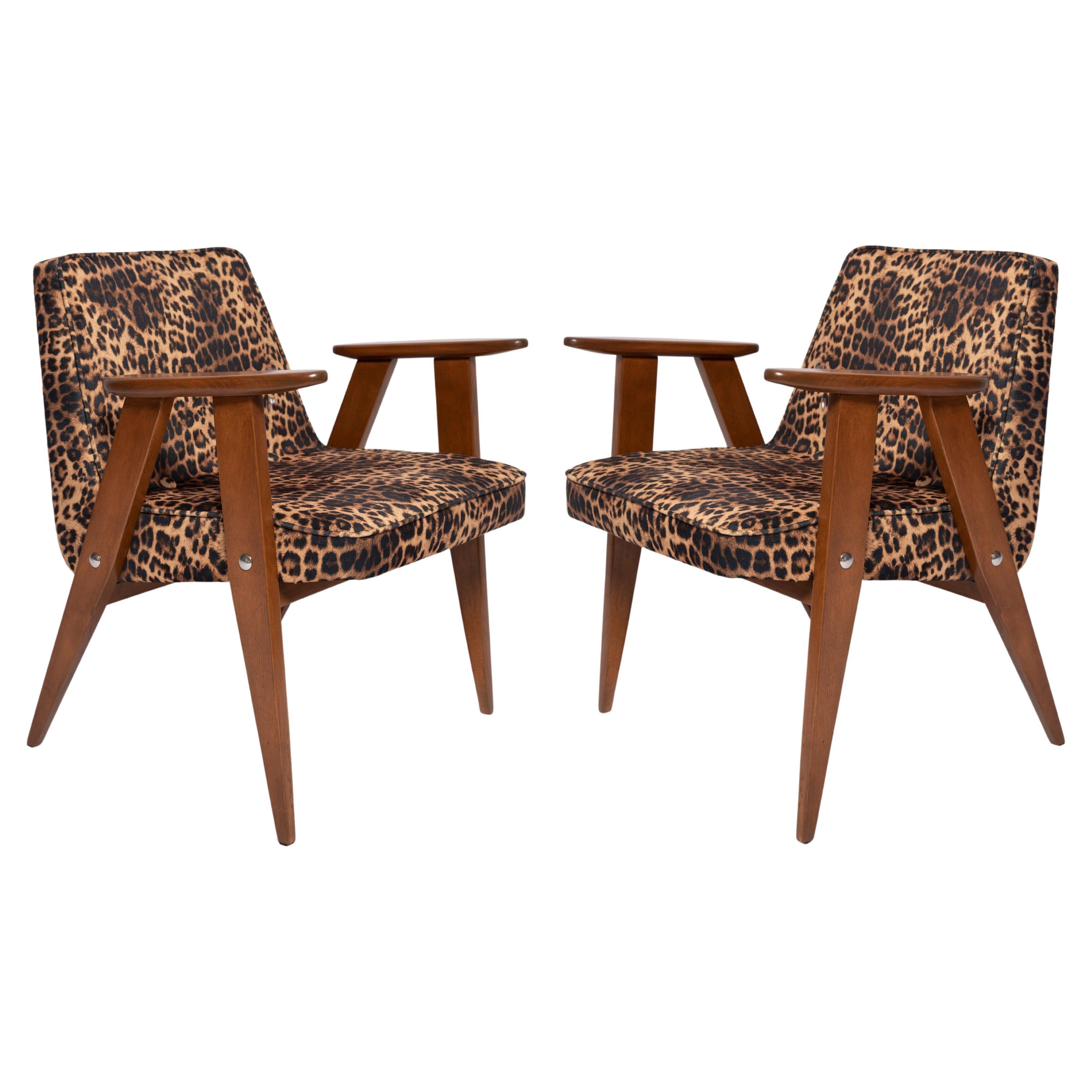 Two Mid Century 366 Armchairs in Leopard Print Velvet, Jozef Chierowski, 1960s
