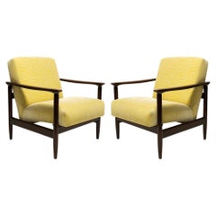 Two MidCentury GFM142 Armchairs, JamuJungle Velvet, Dedar, E. Homa, Europe, 1960