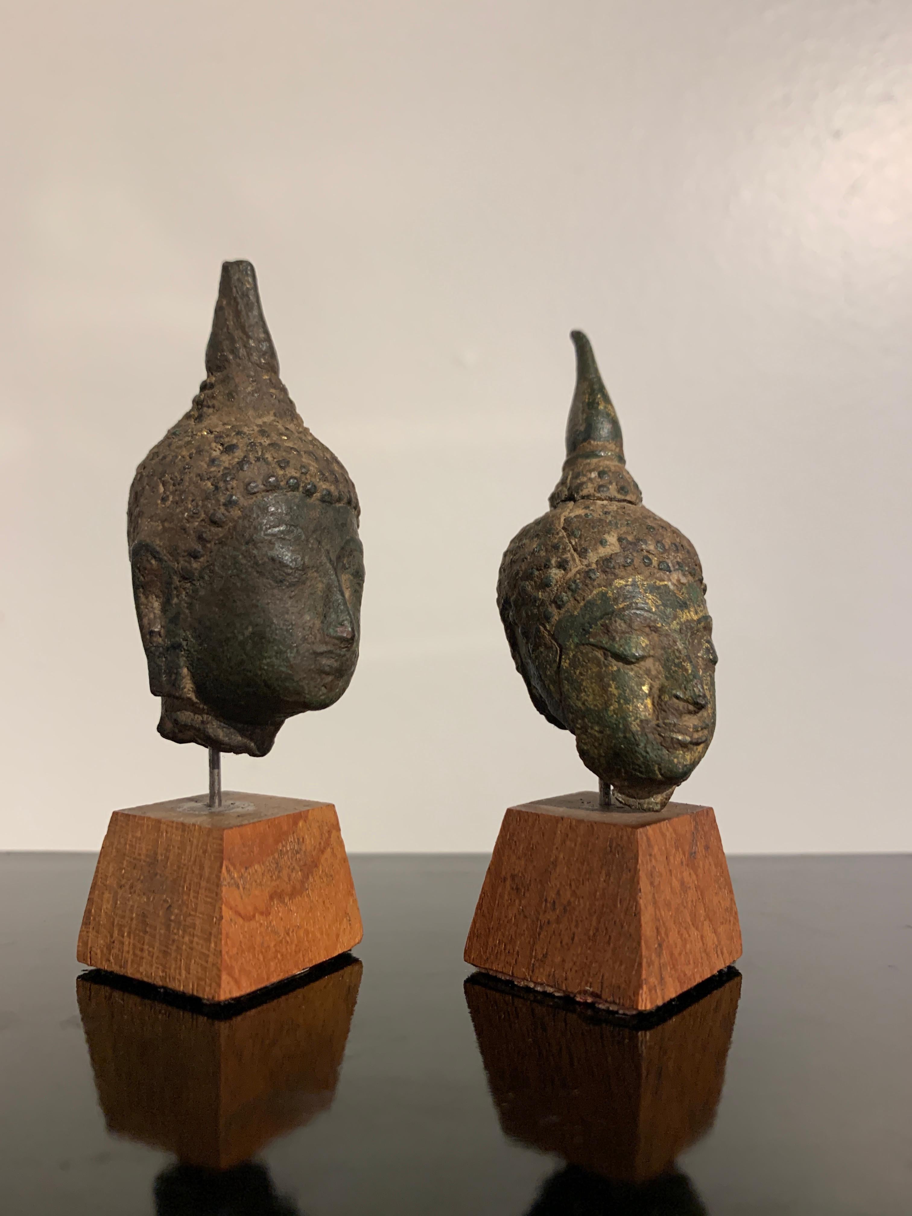 Two miniature and fragmentary heads of the Buddha, cast bronze with remnants of gilding, Sukhothai period, 15th century, Thailand.

The tiny heads both with typical Sukhothai features, their slim, oval faces topped by a prominent ushnisha and tall