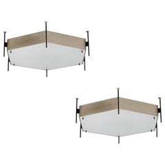 Two Model 12712 Ceiling Lights by Angelo Lelii for Arredoluce