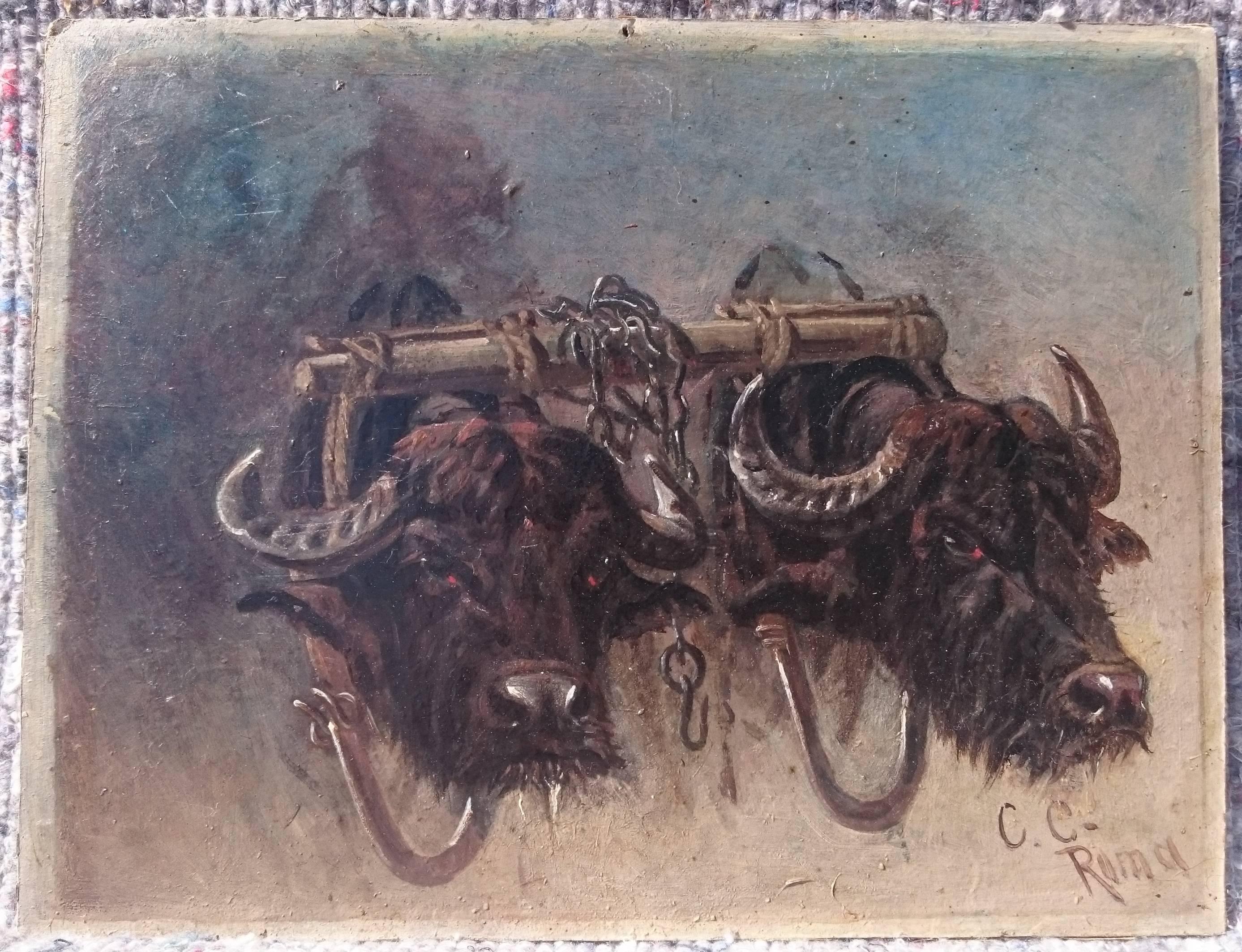 Italian Two Oil on Board Paintings of Study of Oxen and Study of Goat by Charles Coleman For Sale