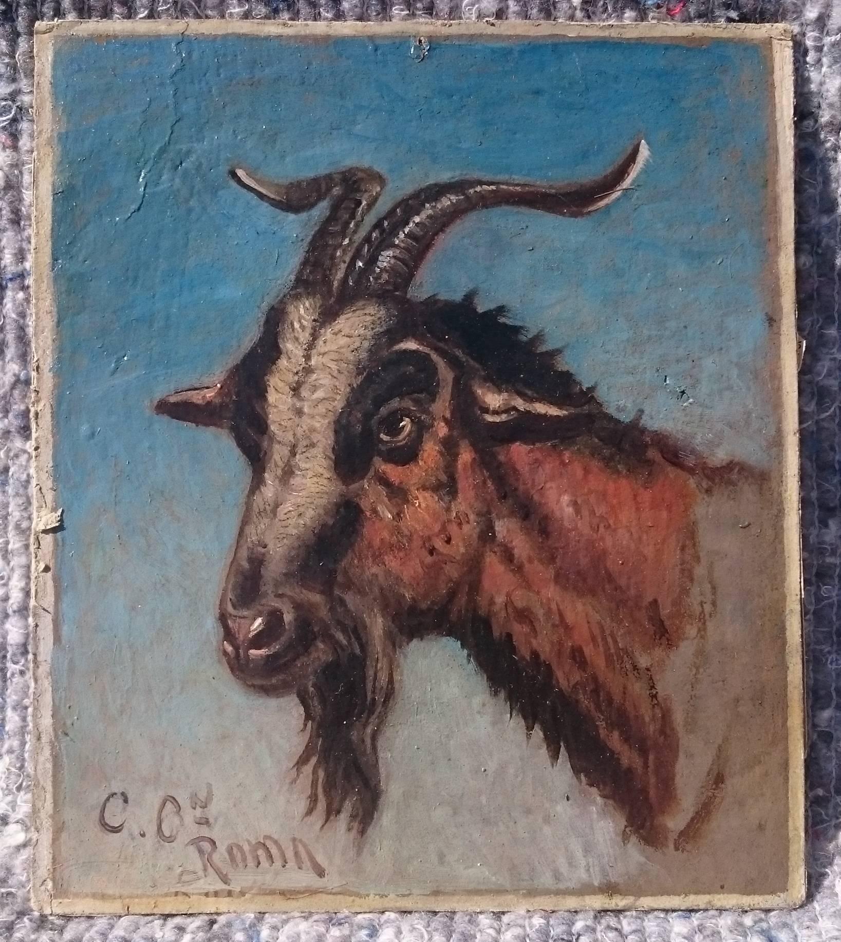 Two Oil on Board Paintings of Study of Oxen and Study of Goat by Charles Coleman For Sale 2