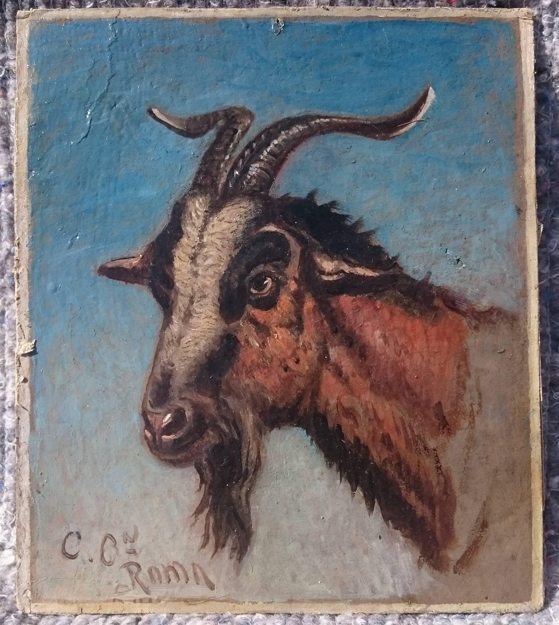 Two Oil on Board Paintings of Study of Oxen and Study of Goat by Charles Coleman For Sale 3