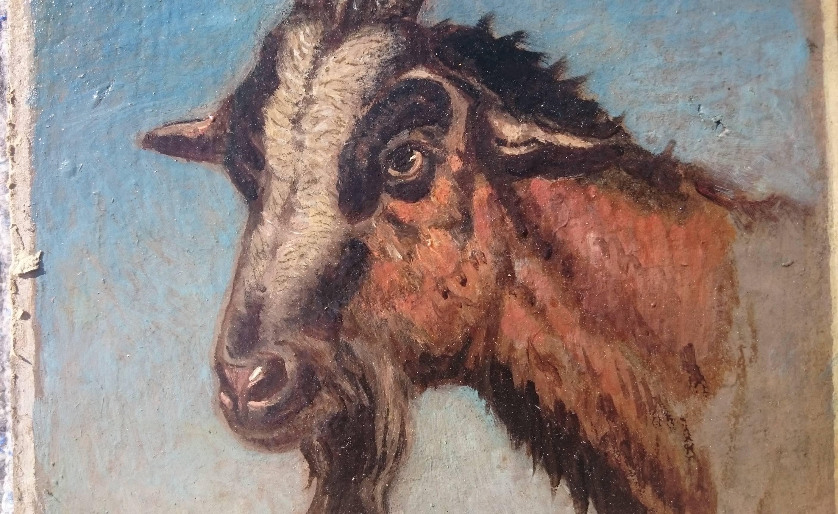 Two Oil on Board Paintings of Study of Oxen and Study of Goat by Charles Coleman For Sale 4