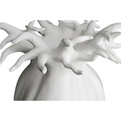 Biomorphic Dining Table by Albino Miranda, Hand-Crafted Customizable