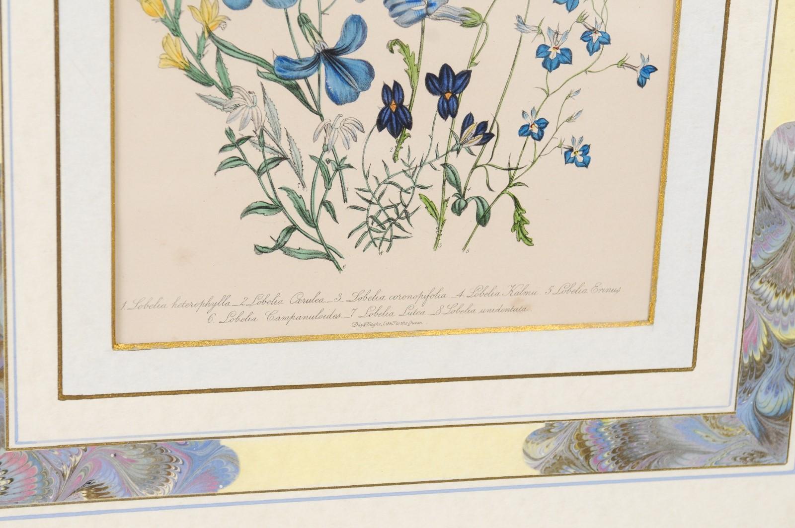 Deux paires de lithographies florales anglaises originales colorées à la main par Jane London en vente 4
