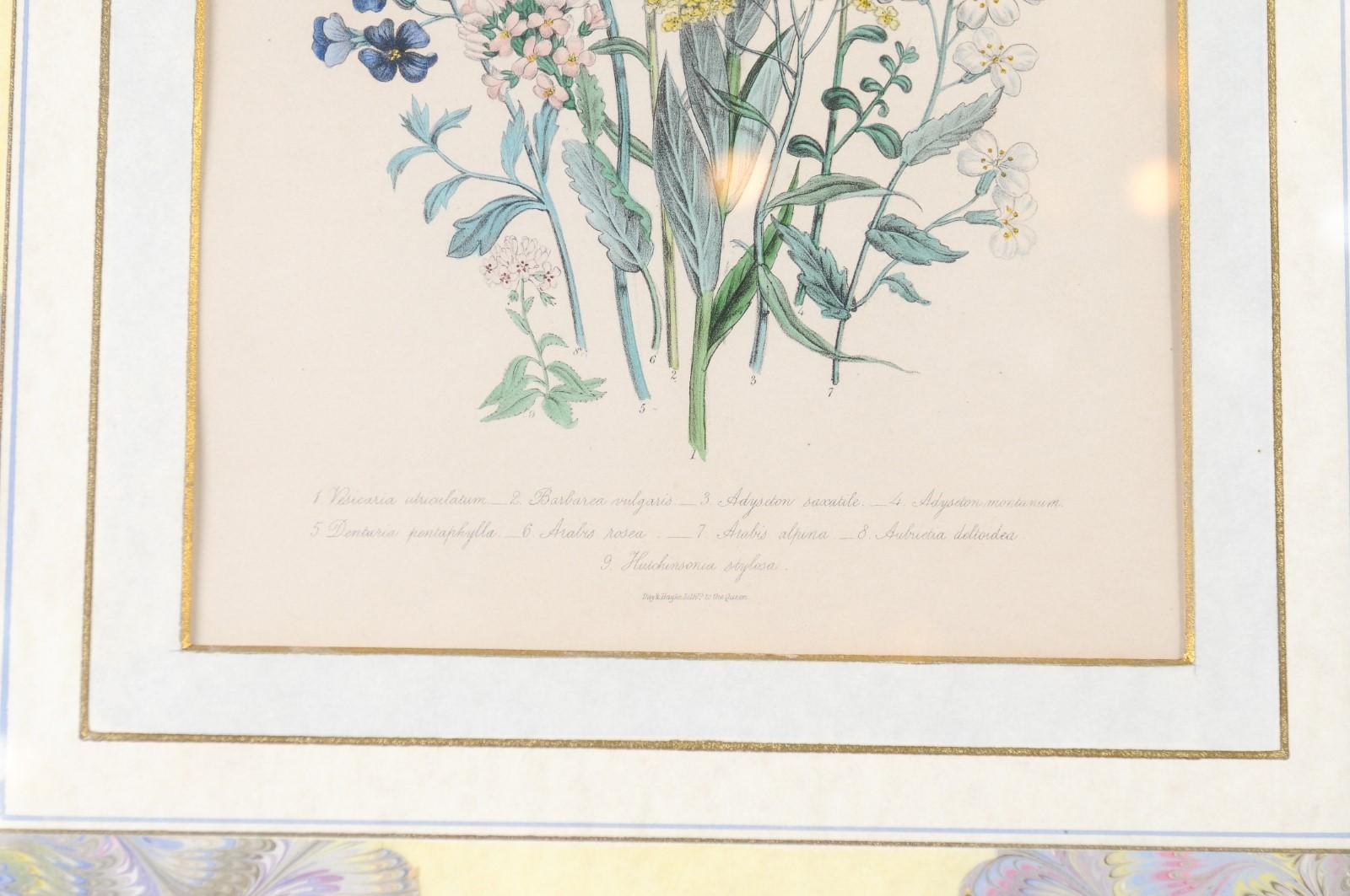 Deux paires de lithographies florales anglaises originales colorées à la main par Jane London en vente 6