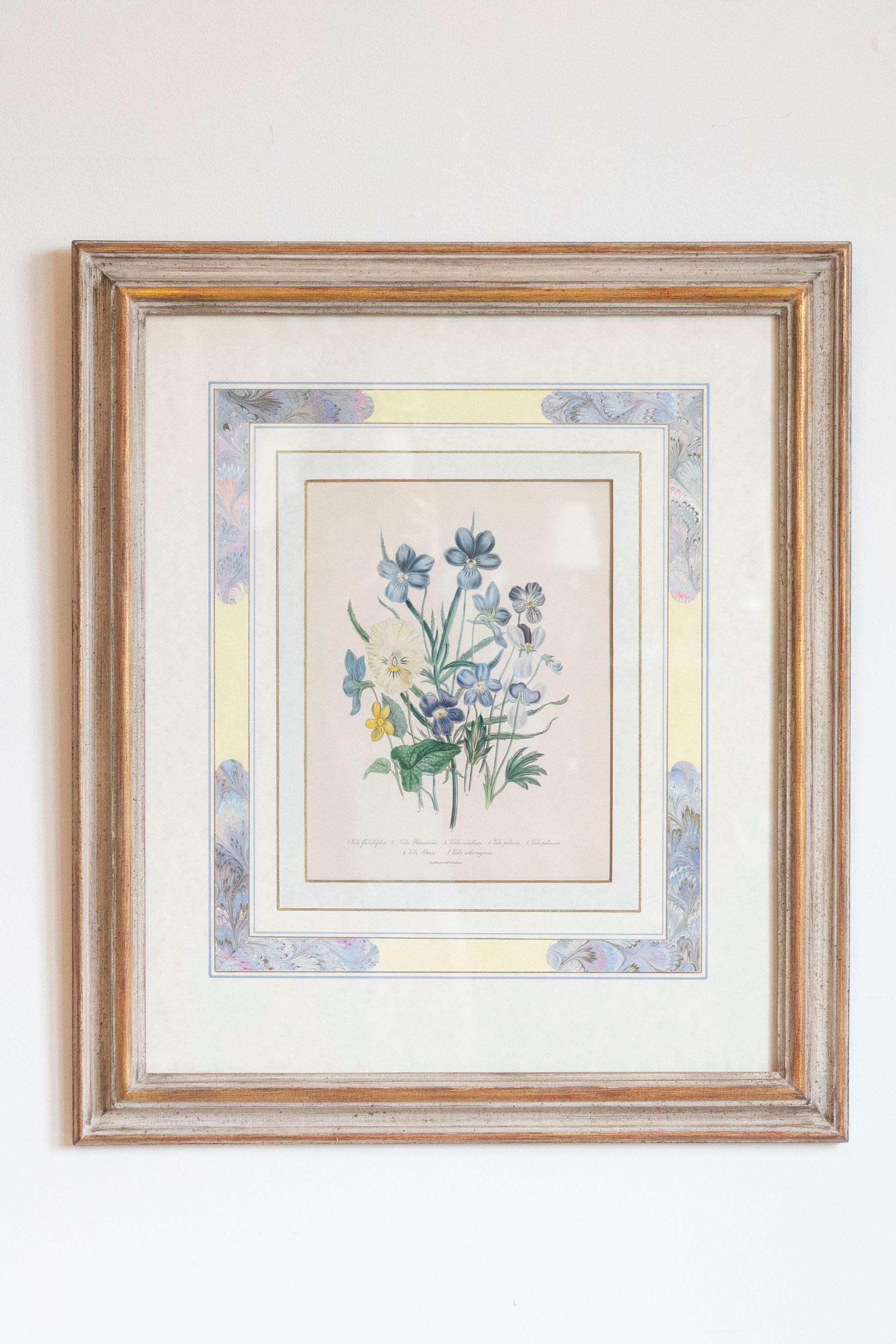 Two Pairs of Original English Hand-Colored Floral Lithographs by Jane London 7