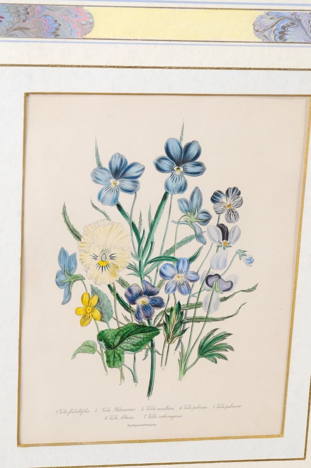 Deux paires de lithographies florales anglaises originales colorées à la main par Jane London en vente 7