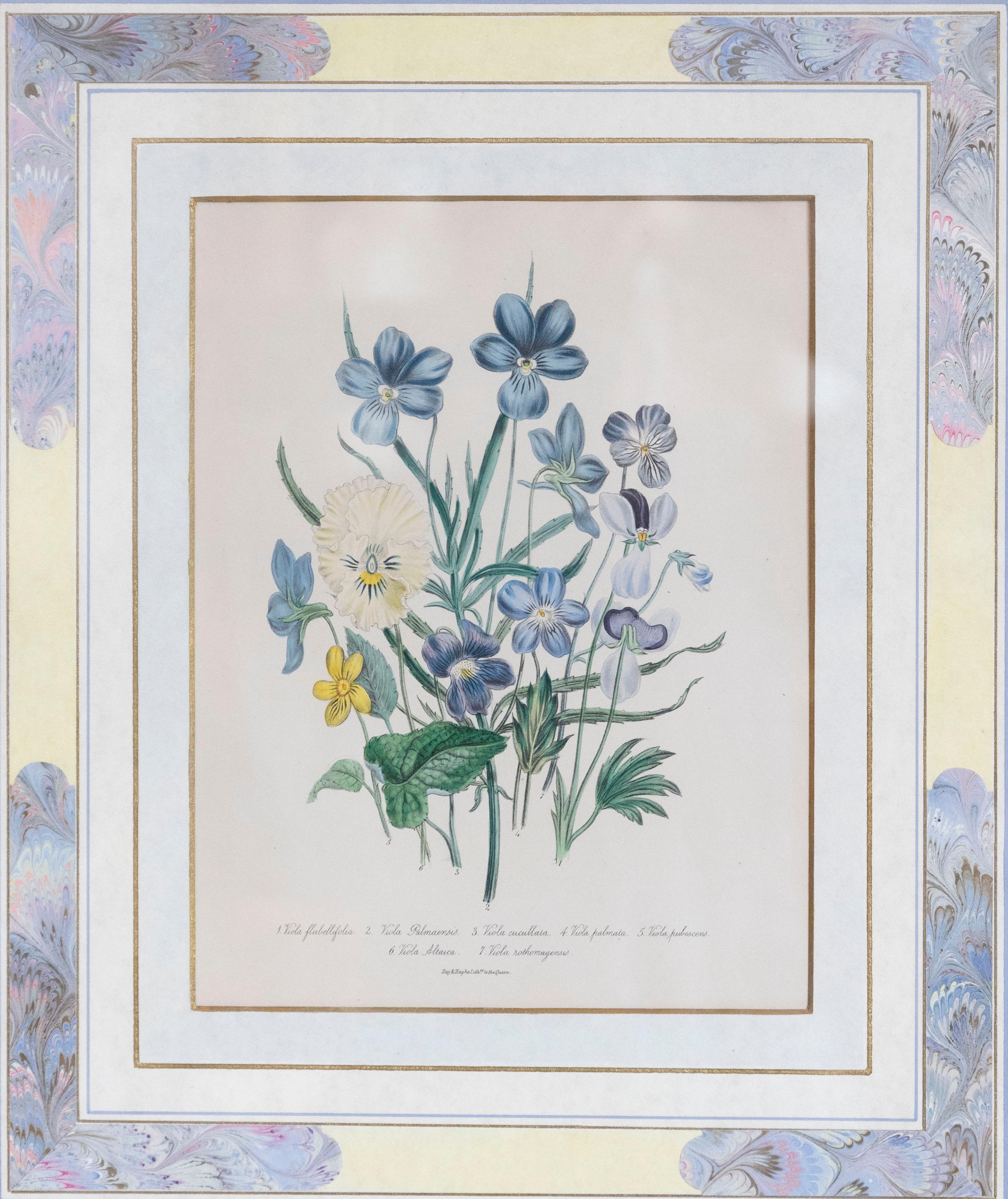 Two Pairs of Original English Hand-Colored Floral Lithographs by Jane London 8