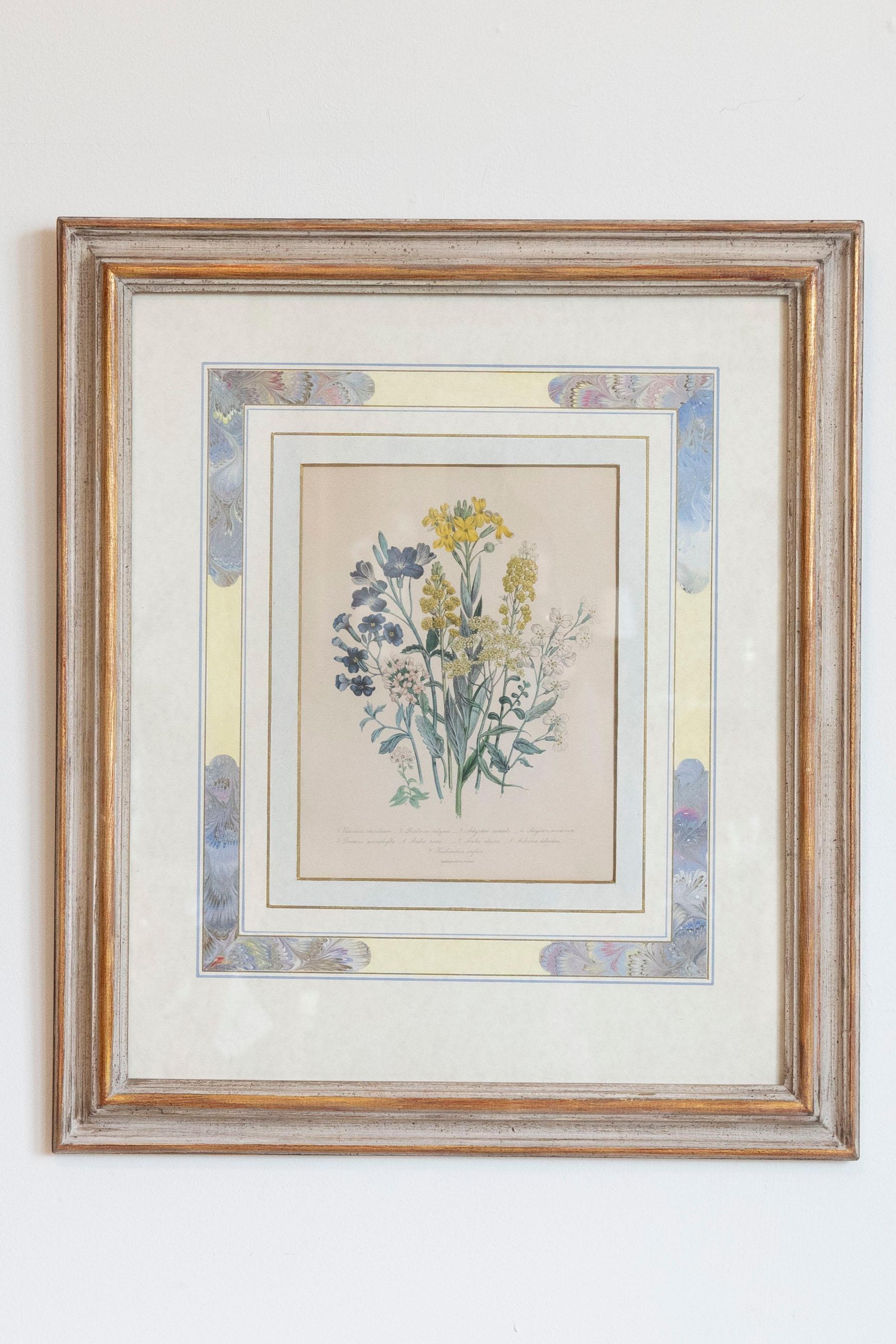 Two Pairs of Original English Hand-Colored Floral Lithographs by Jane London In Good Condition In Atlanta, GA