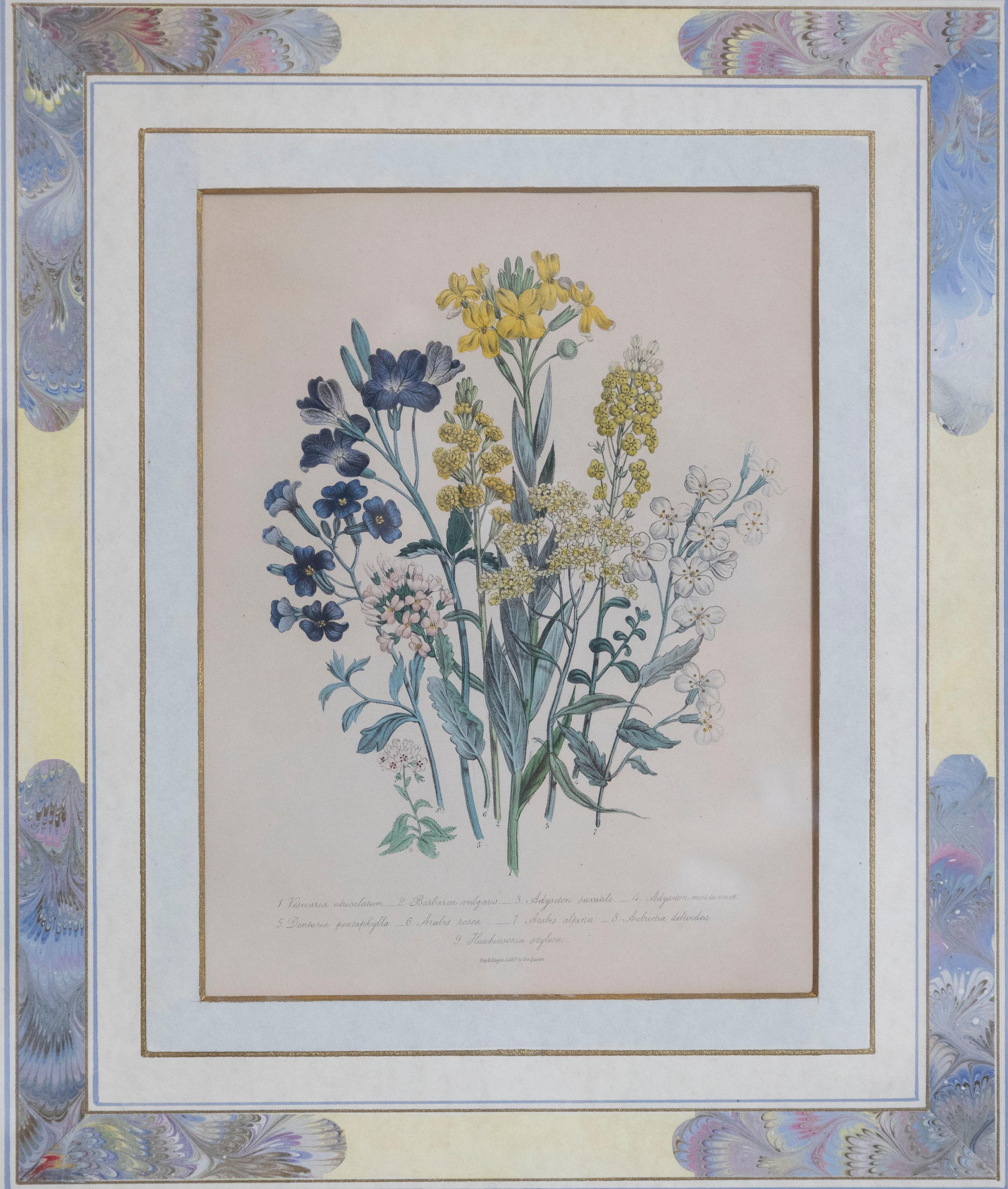 19th Century Two Pairs of Original English Hand-Colored Floral Lithographs by Jane London